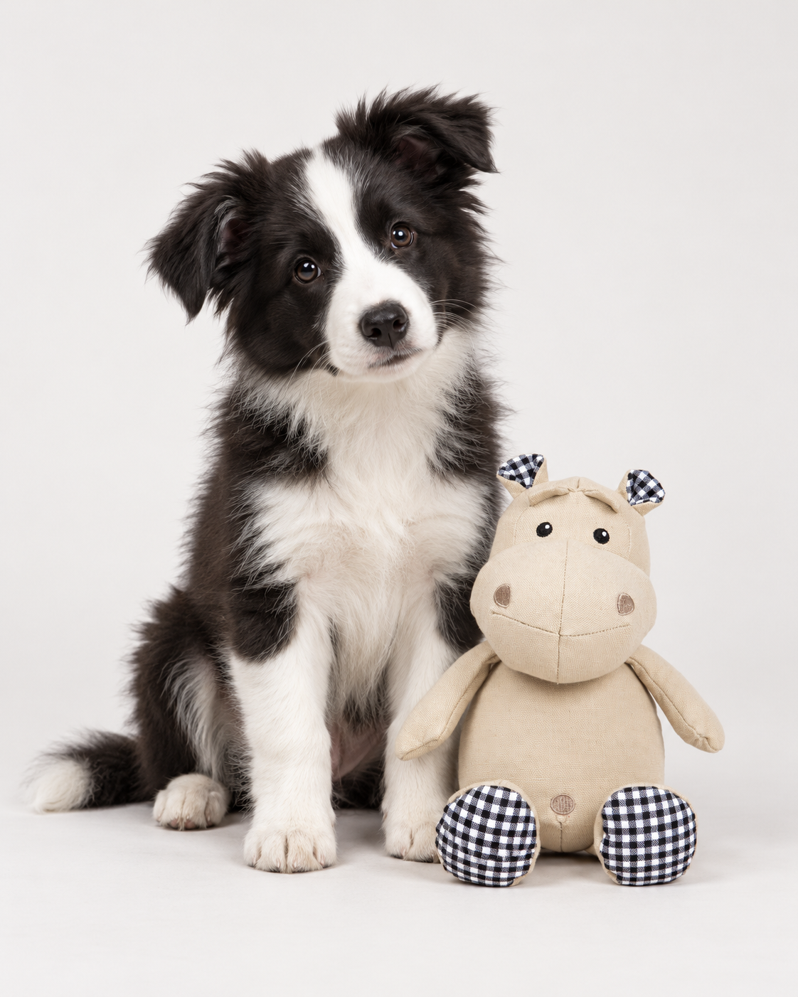 Border collie med Nordog Henny flodhest – AI-visualisering