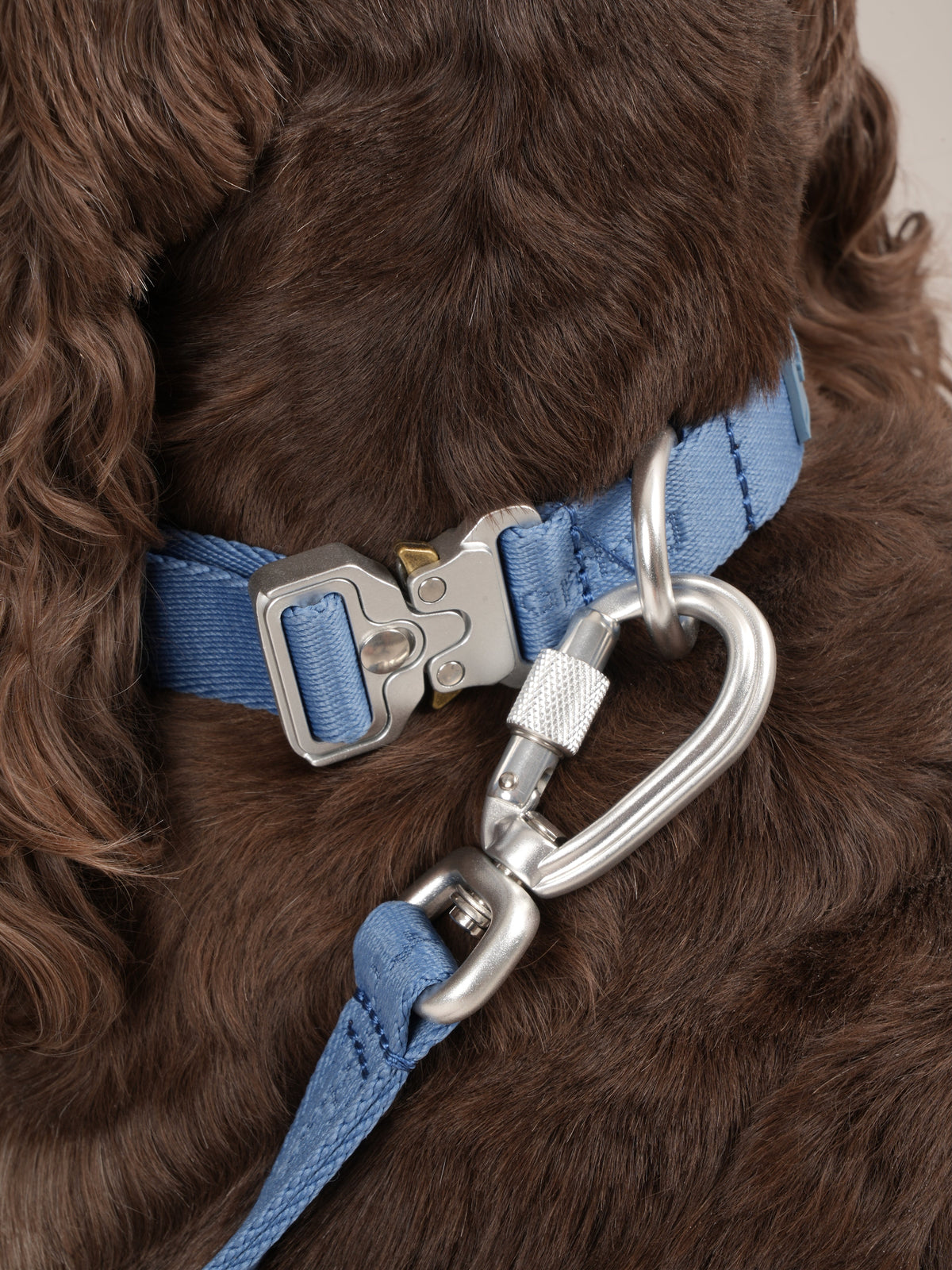 Nordog Performance hundehalsbånd – støvet blå – billede 3