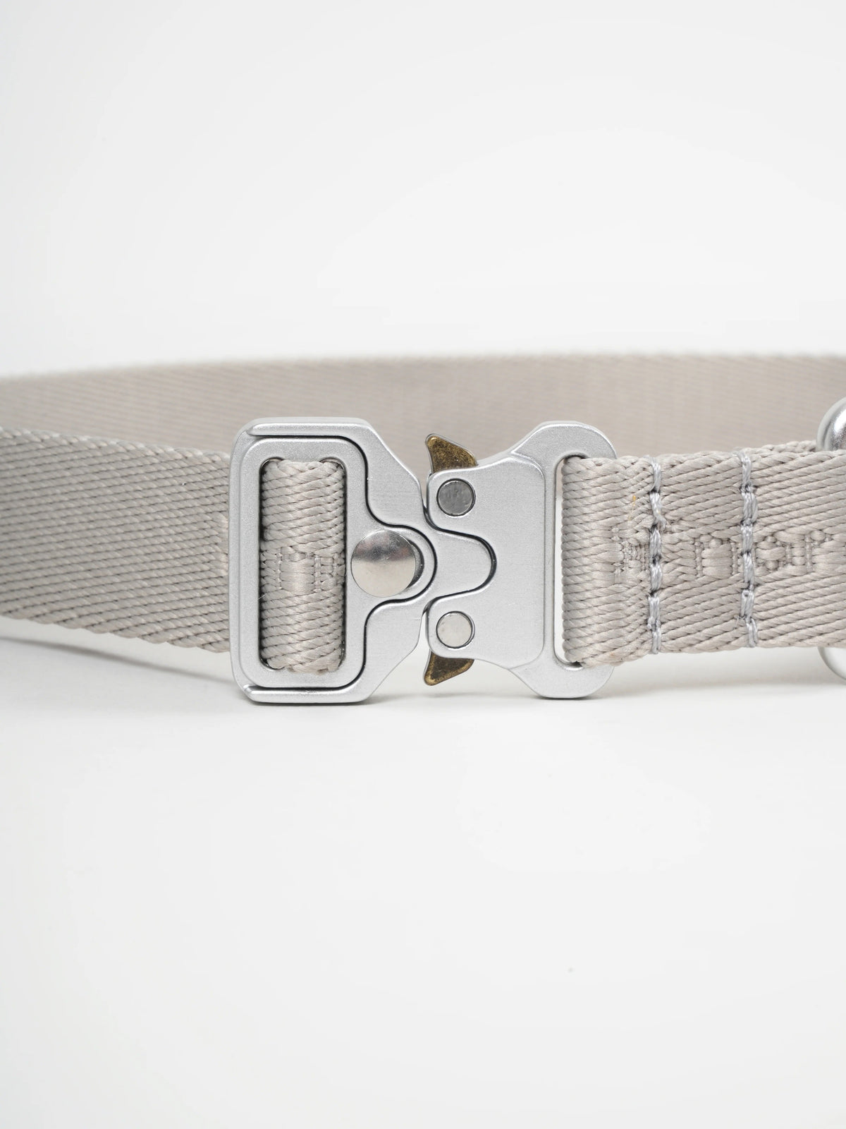 Nordog Performance hundehalsbånd – taupe – billede 2