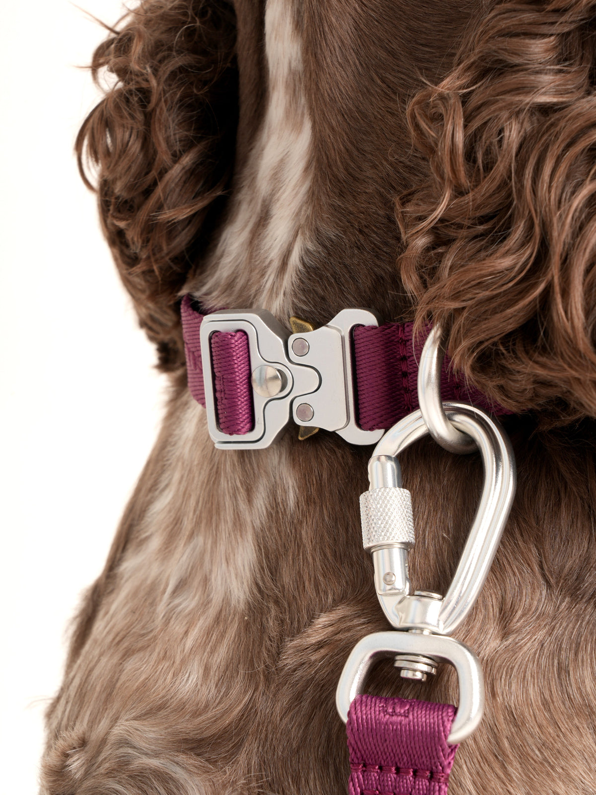 Nordog Performance hundehalsbånd – bordeaux – billede 4