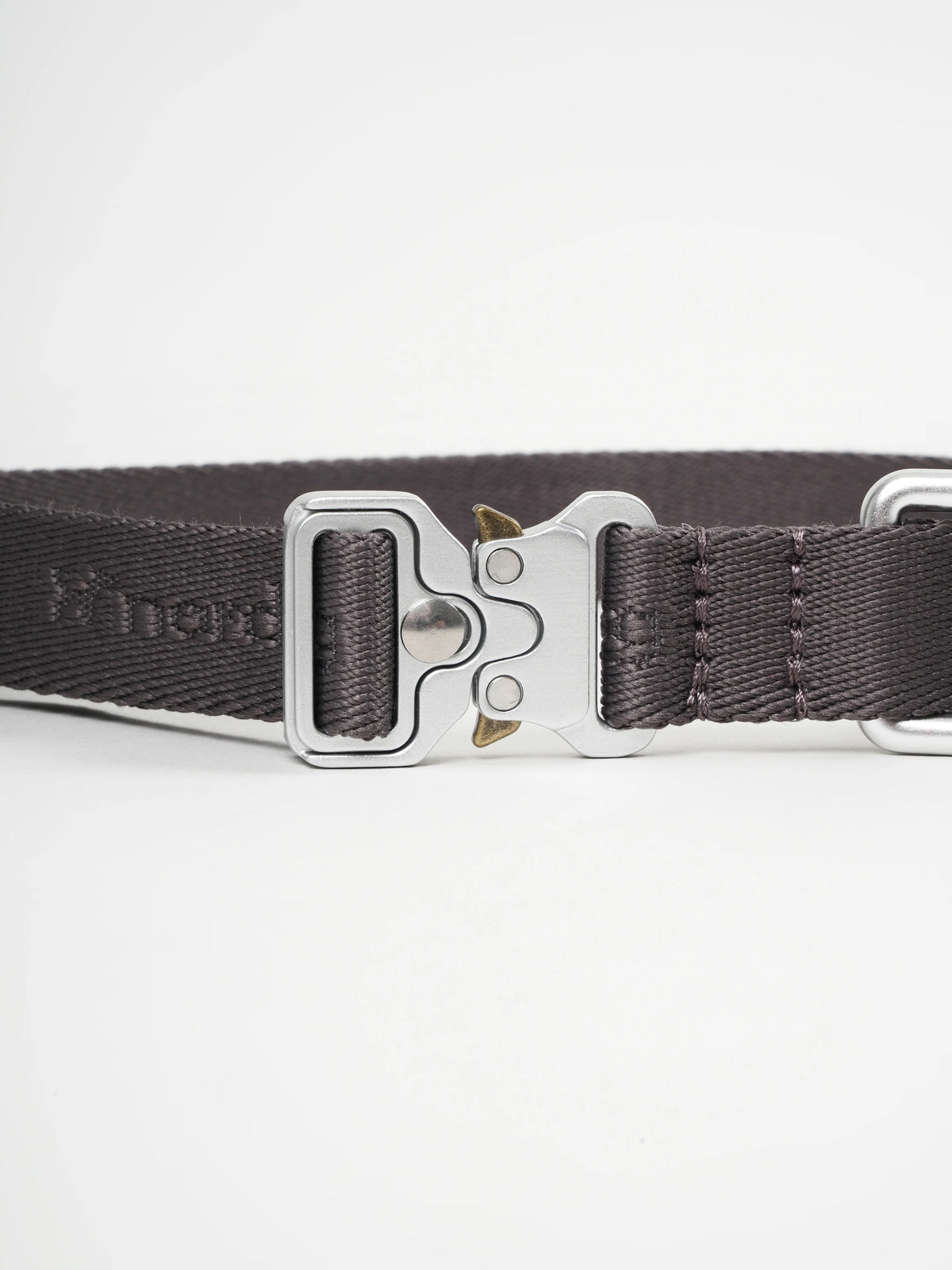 Nordog Performance hundehalsbånd – mocca – billede 2