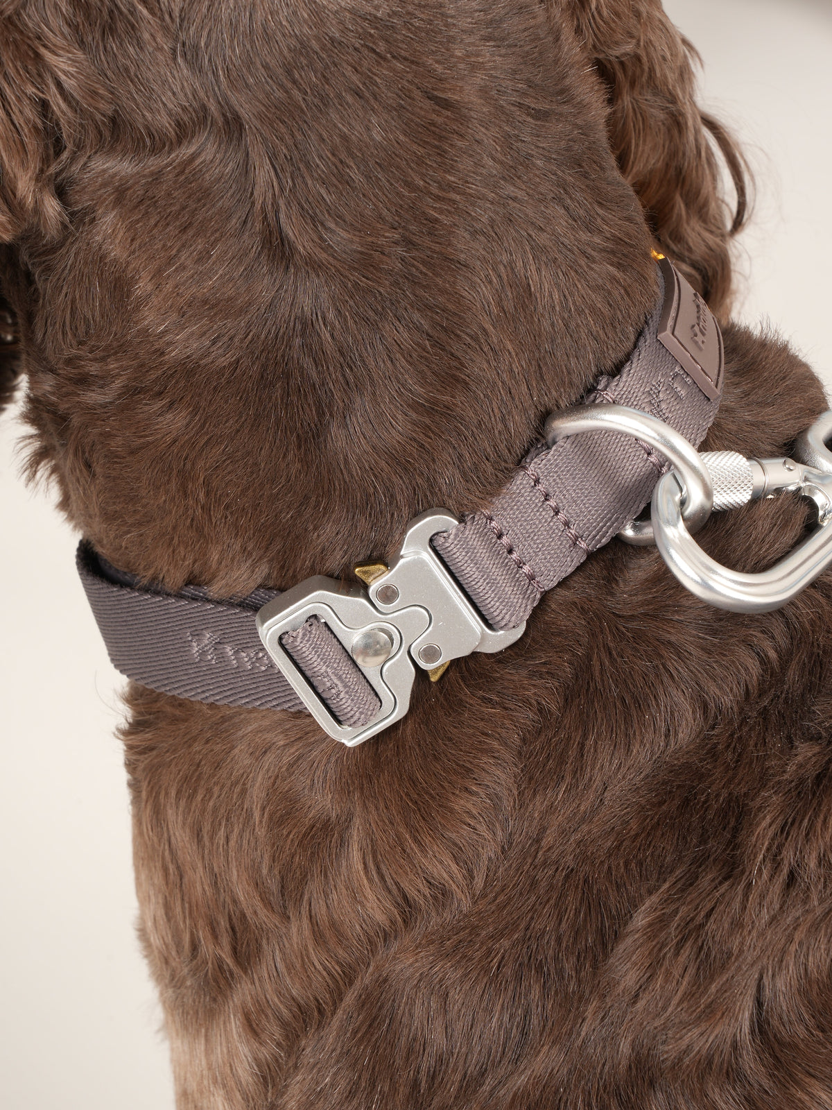 Nordog Performance hundehalsbånd – mocca – billede 4