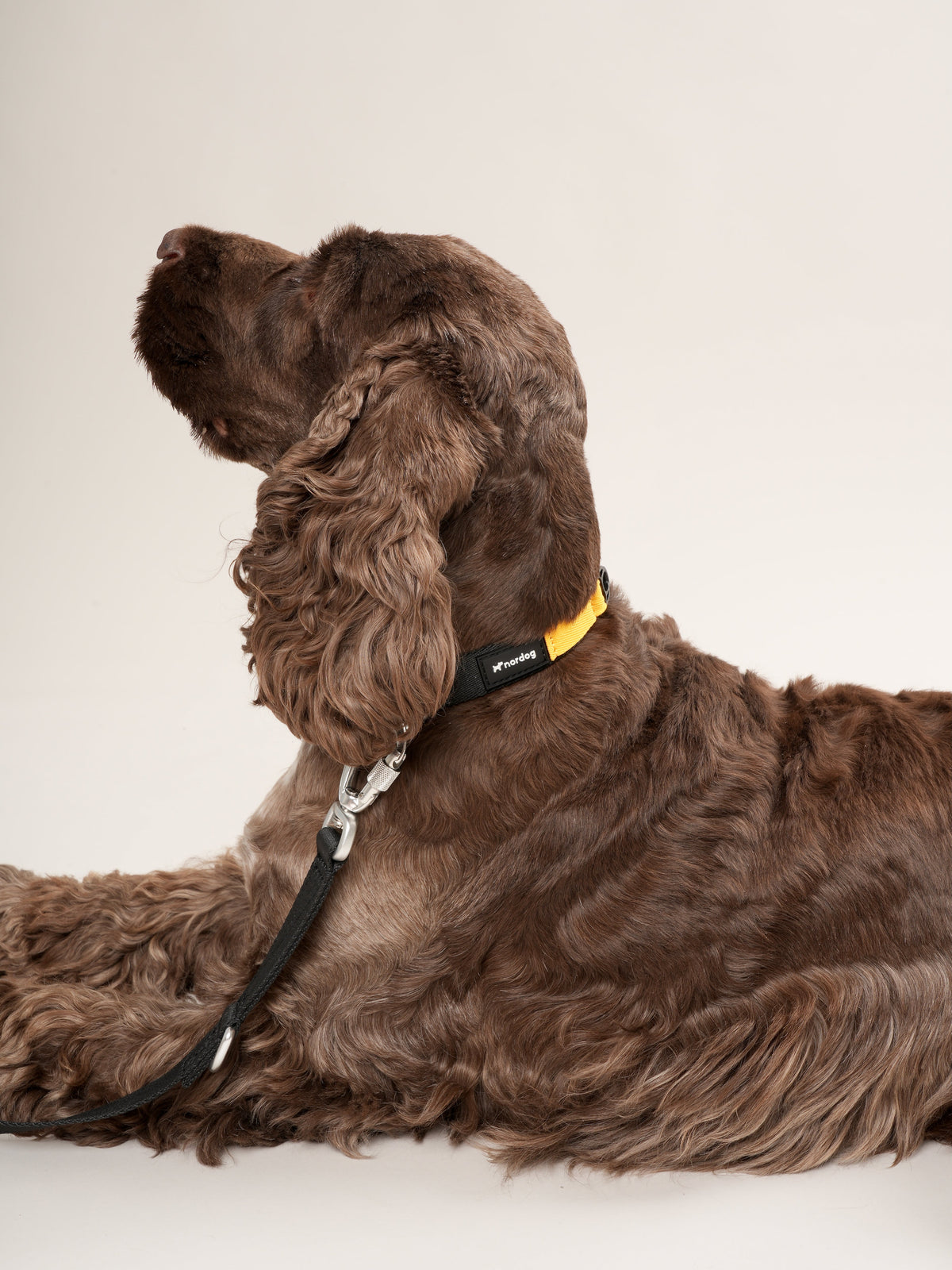 Nordog Performance hundehalsbånd – sort – billede 3