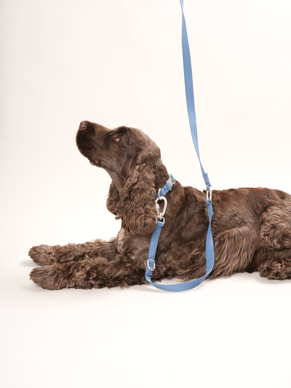 Nordog Performance hundesnor – støvet blå – billede 3