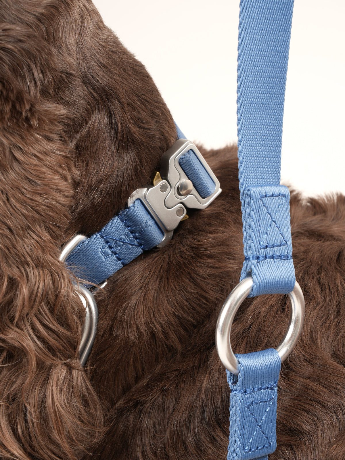 Nordog Performance hundesnor – støvet blå – billede 2