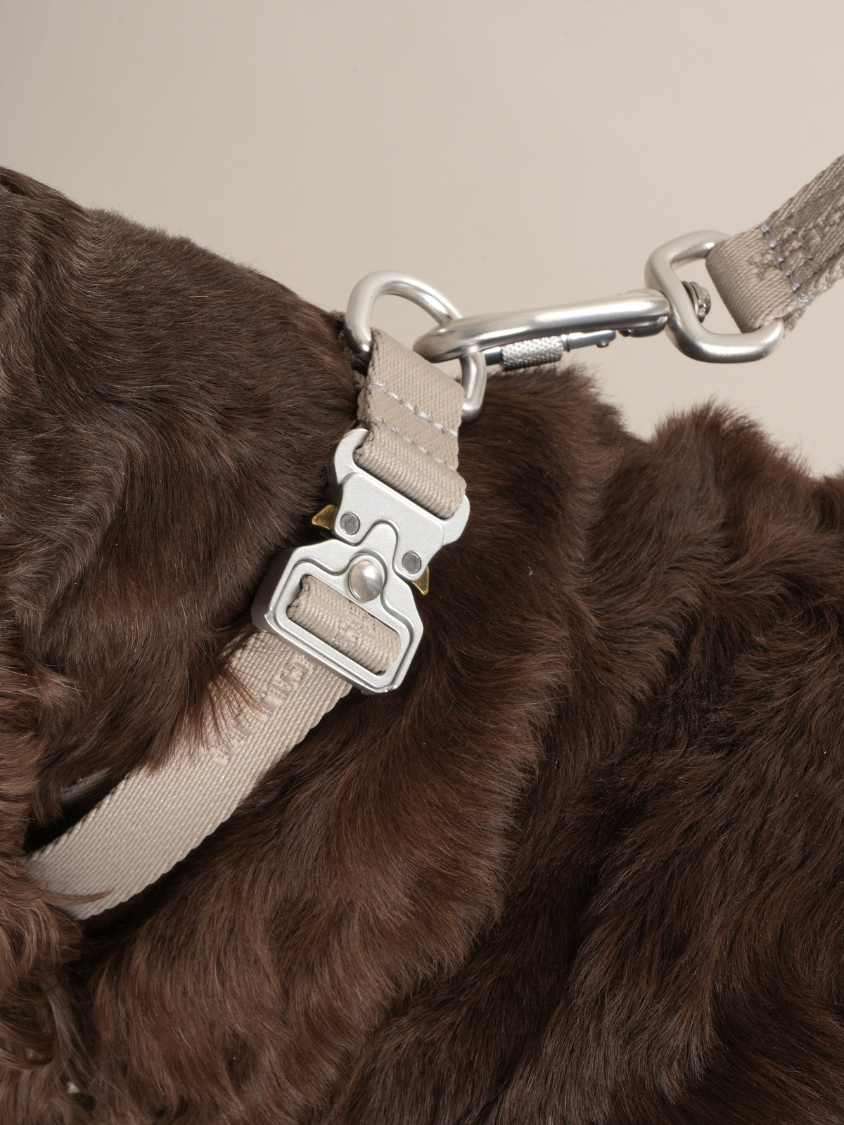 Nordog Performance hundesnor – taupe – billede 3