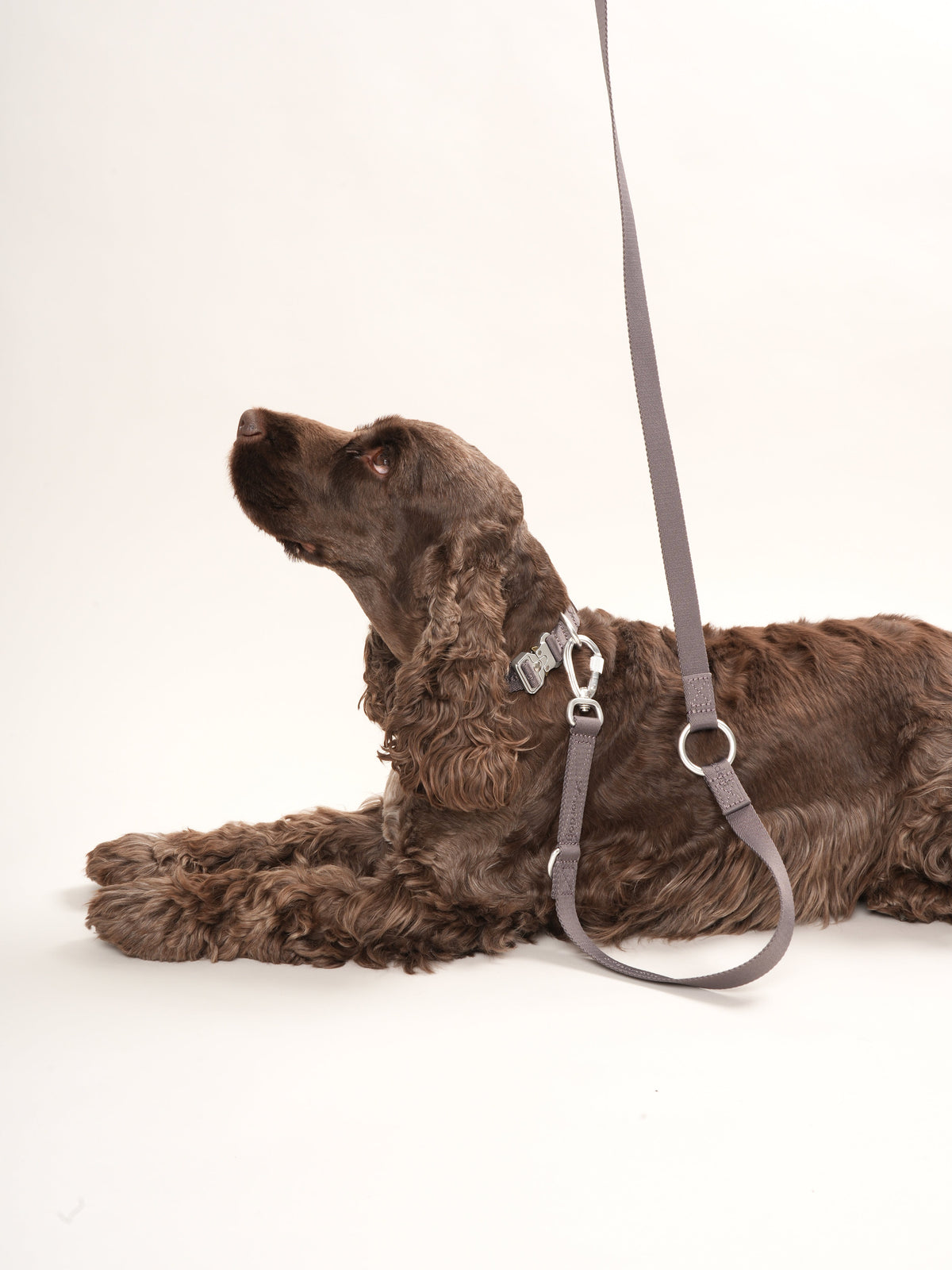 Nordog Performance hundesnor – mocca – billede 3