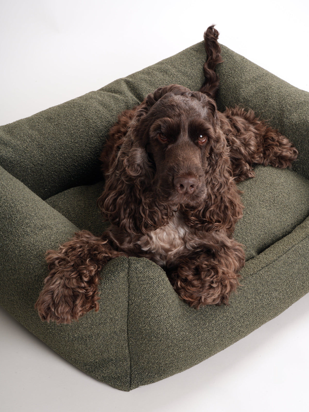 Nordog BILLY hundeseng i bouclé – Mos – billede 5