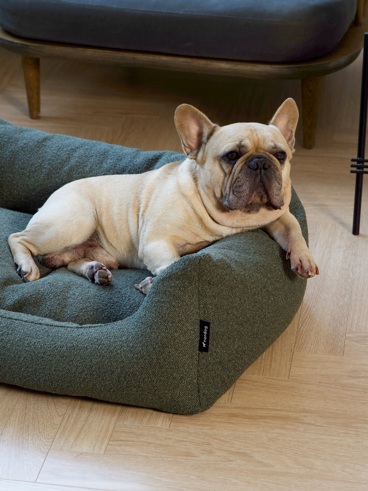 Nordog BILLY hundeseng i bouclé – Mos – billede 4