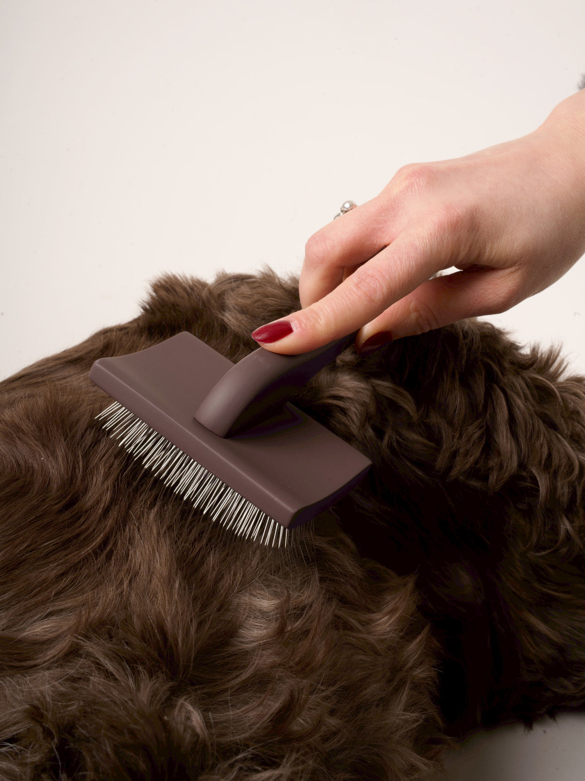 Nordog Care karte til underuld – Mocca – billede 4