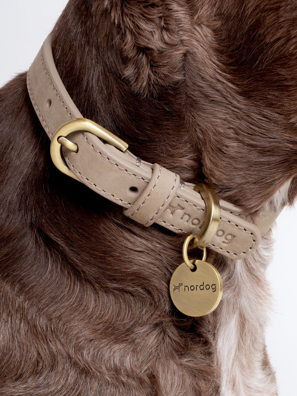 Nordog Thomas hundehalsbånd – Taupe – billede 3