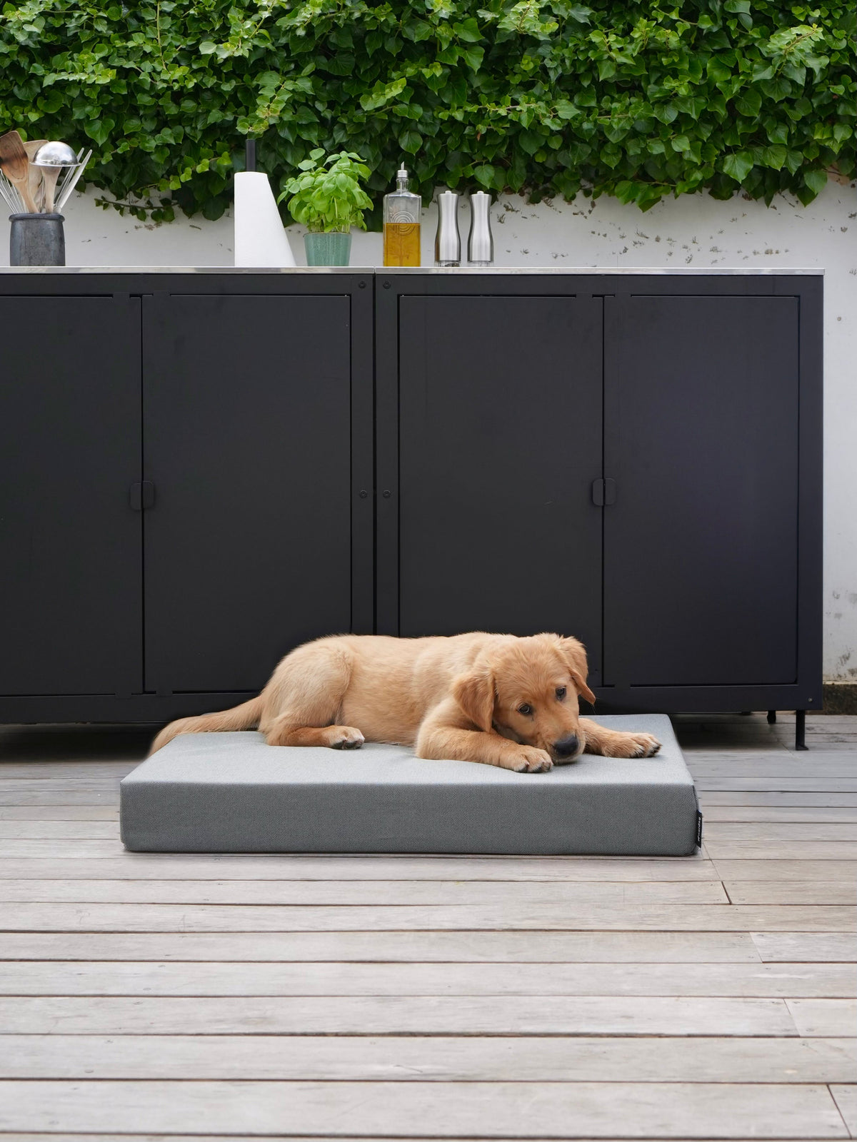 Nordog SUNLIGHT udendørs hundepude – Cappuccino – billede 2