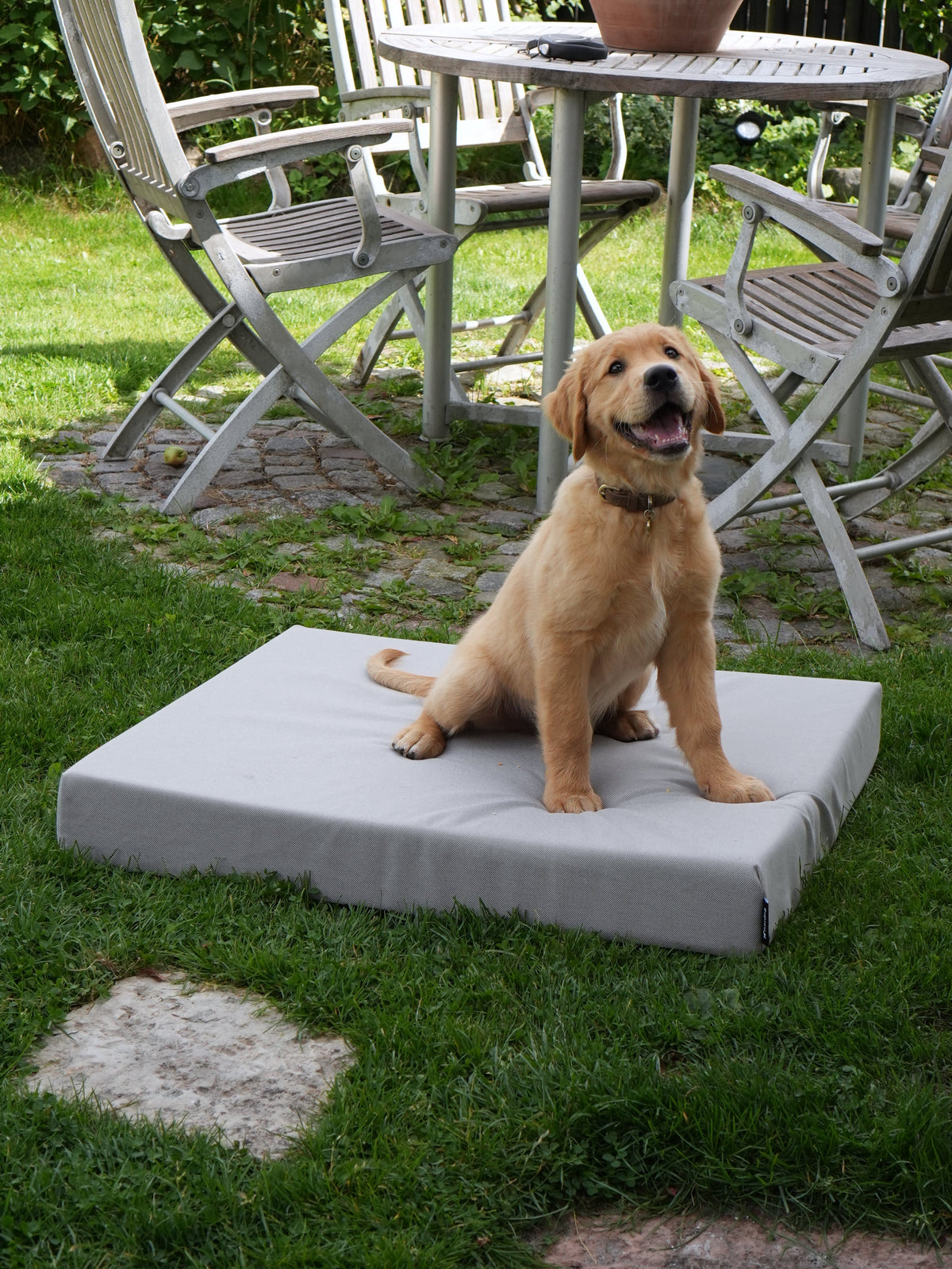 Nordog SUNLIGHT udendørs hundepude – Cappuccino – billede 6