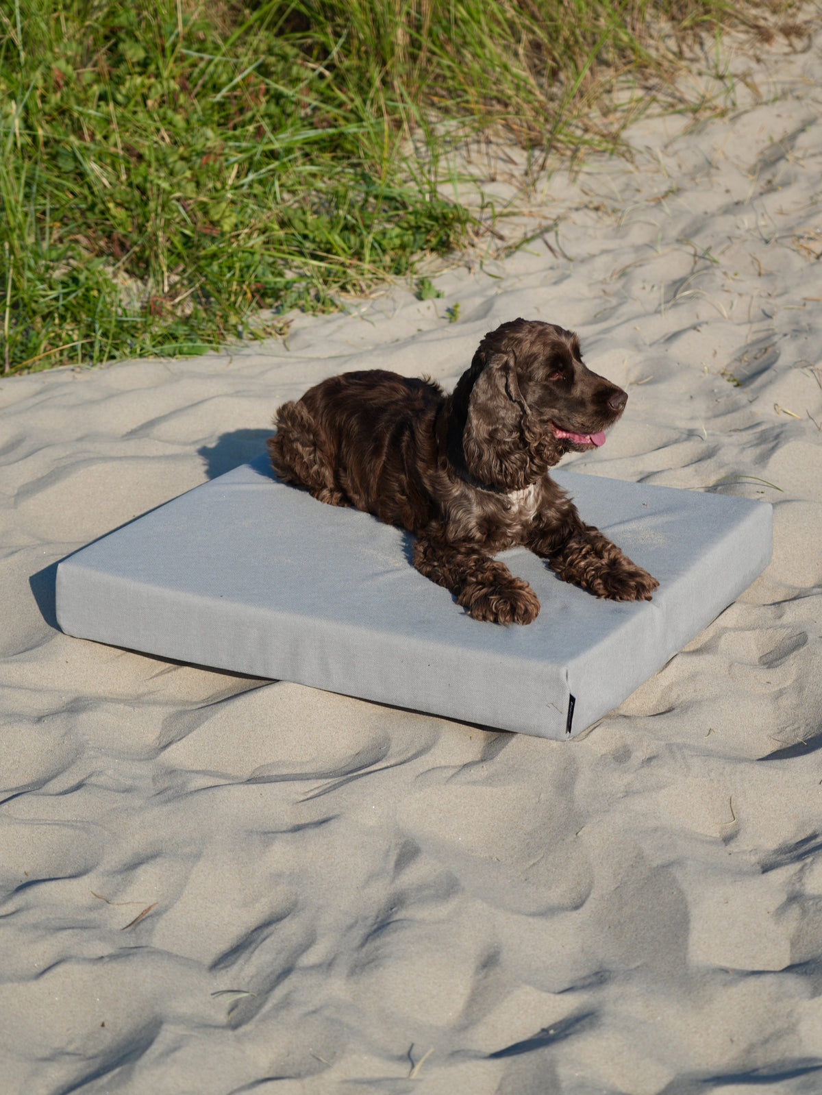 Nordog SUNLIGHT udendørs hundepude – Cappuccino – billede 4