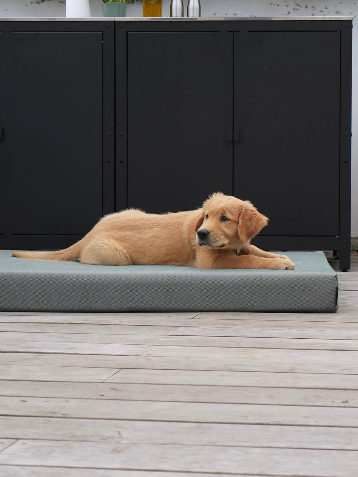 Nordog SUNLIGHT udendørs hundepude – Grass – billede 4