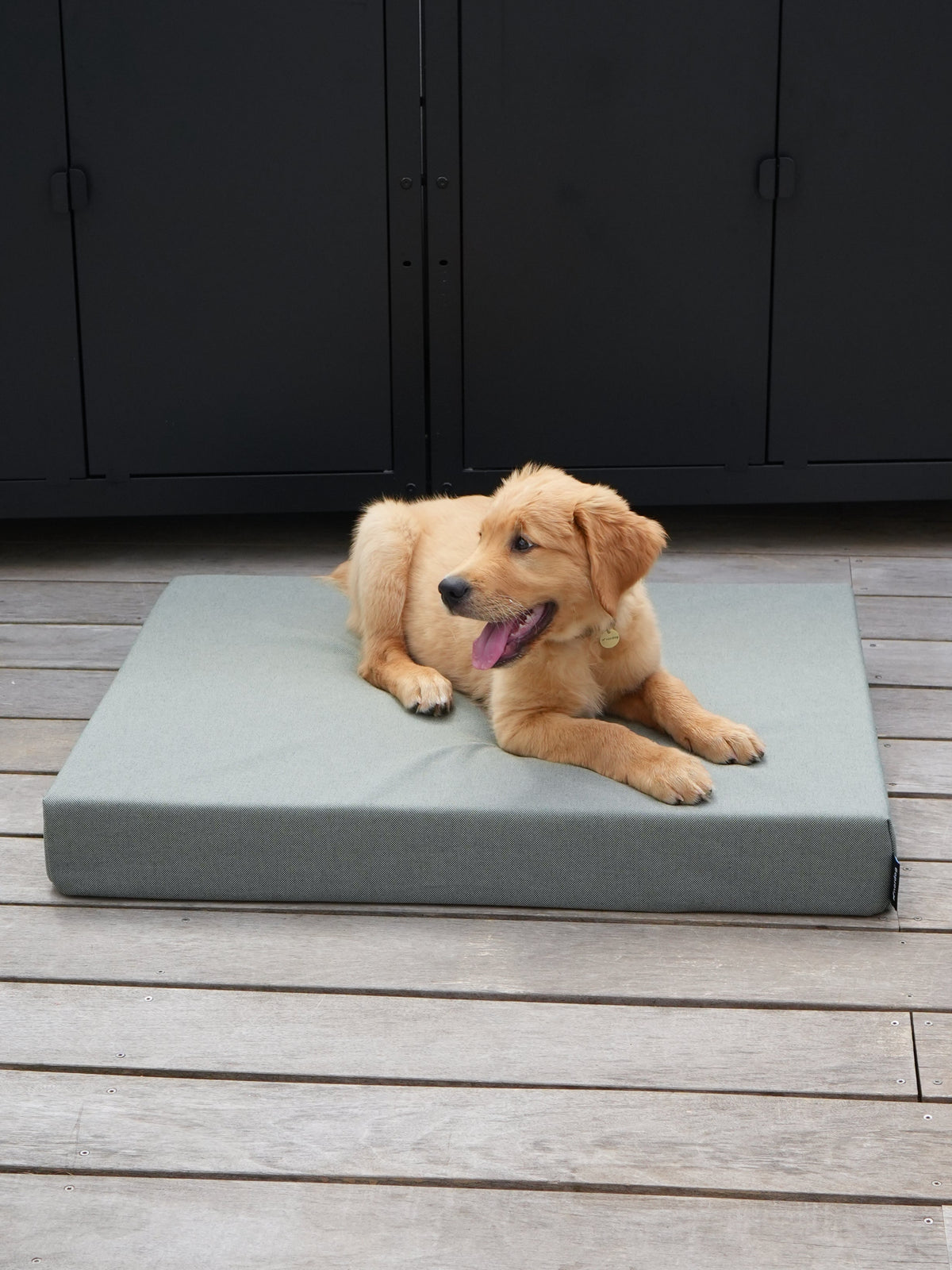 Nordog SUNLIGHT udendørs hundepude – Grass – billede 2