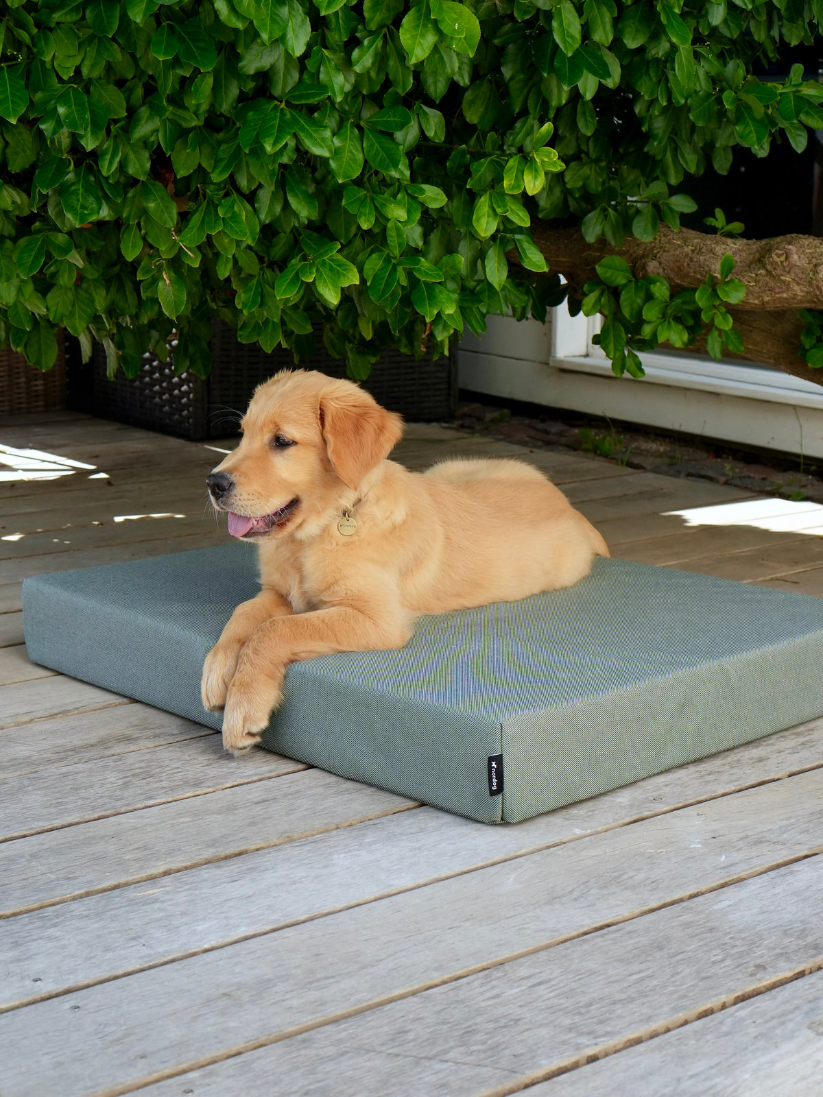 Nordog SUNLIGHT udendørs hundepude – Grass – billede 6