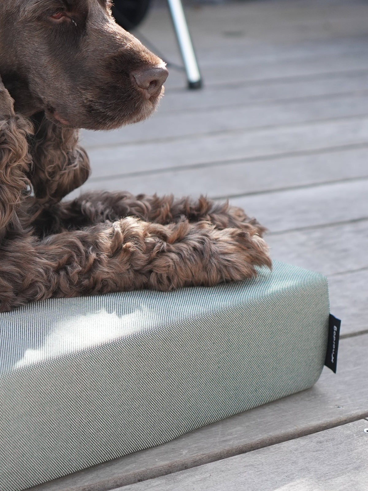 Nordog SUNLIGHT udendørs hundepude – Grass – billede 11