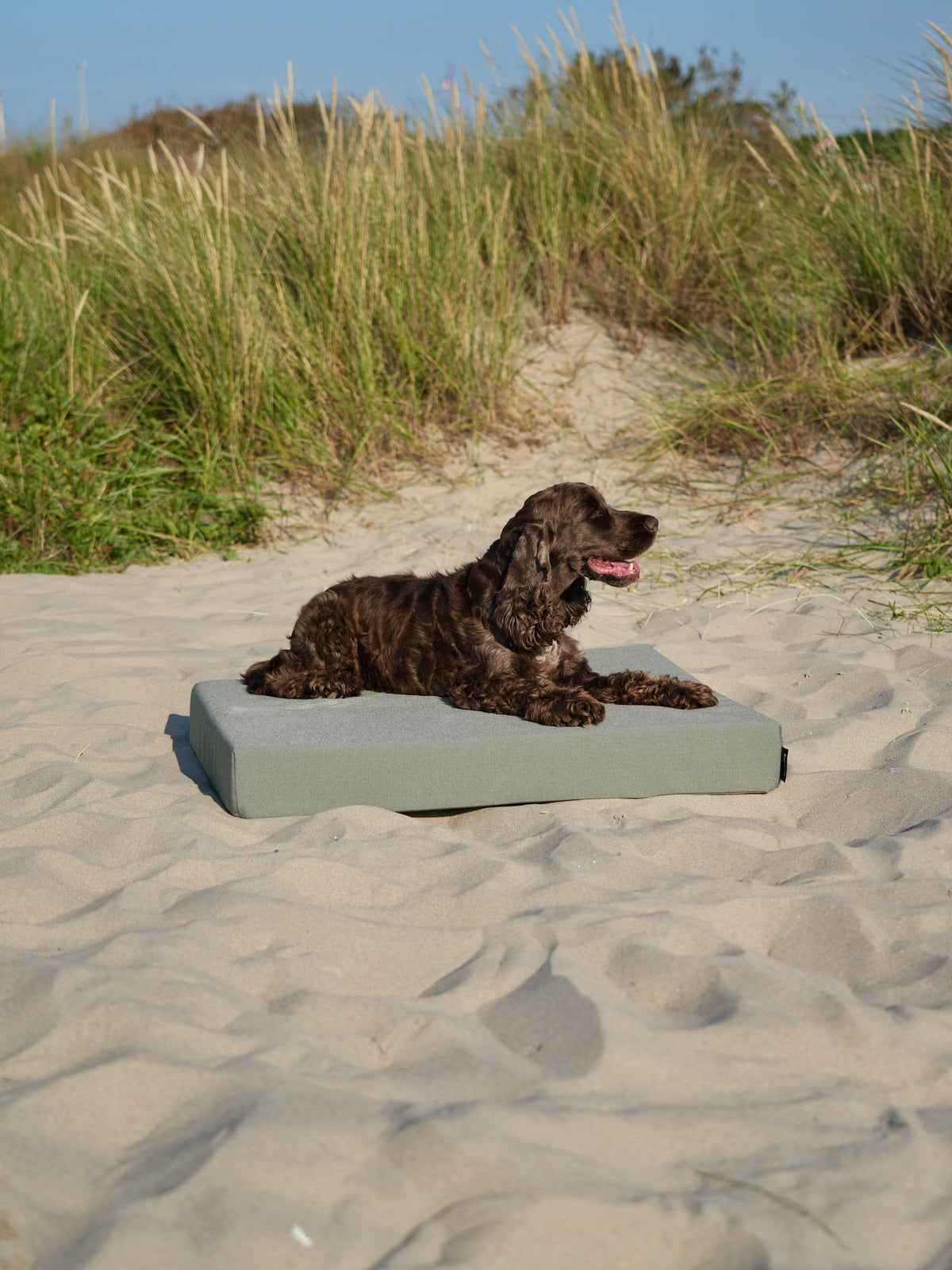 Nordog SUNLIGHT udendørs hundepude – Grass – billede 7