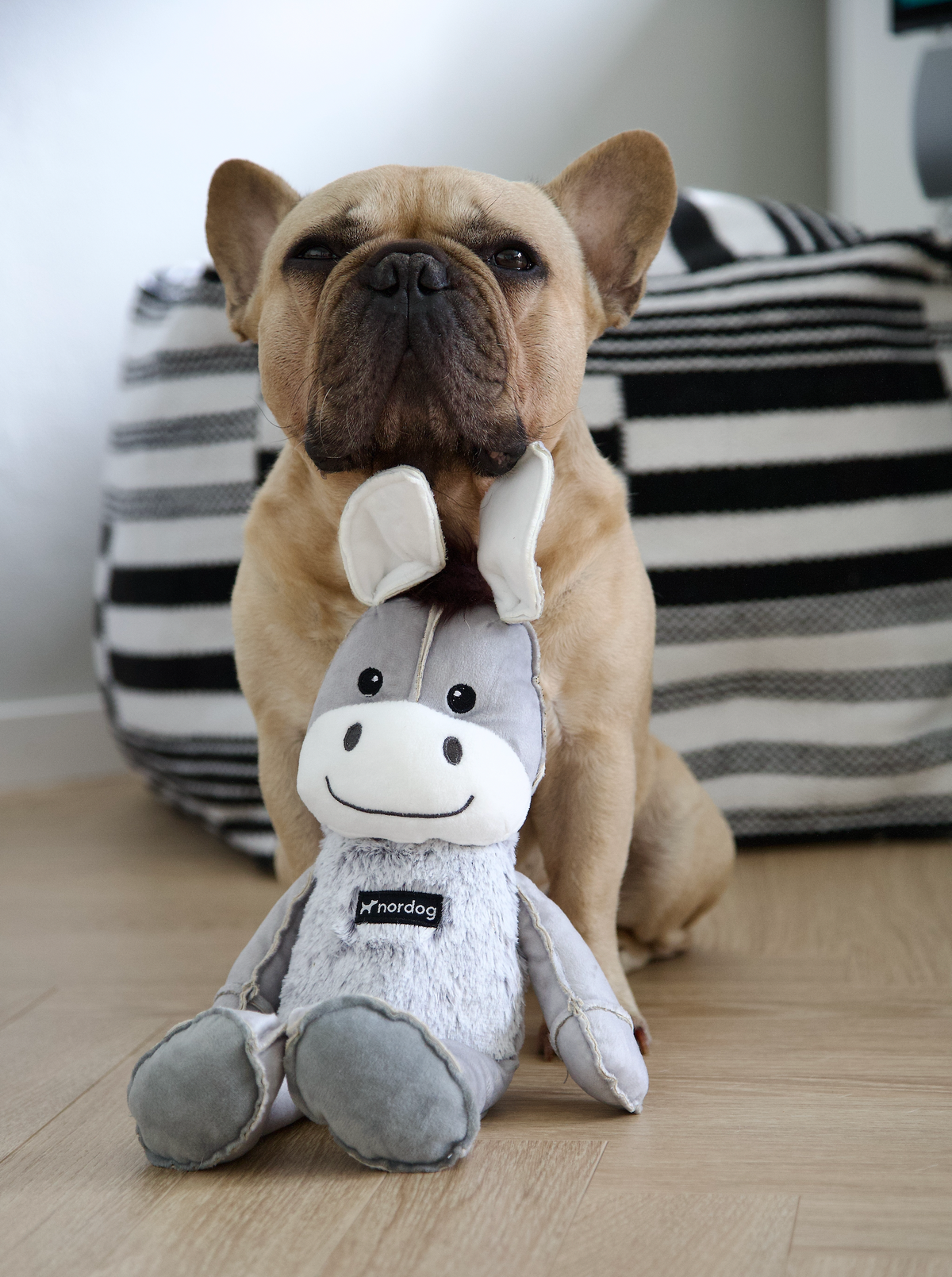 Nordog Dix The Donkey hundebamse – billede 7
