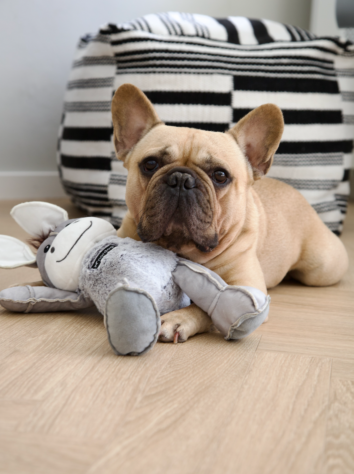 Nordog Dix The Donkey hundebamse – billede 6