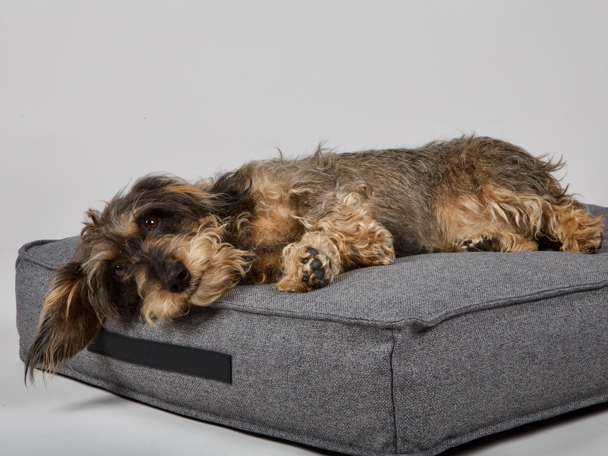 Nordog Hygge hundepude – Antracit – billede 5