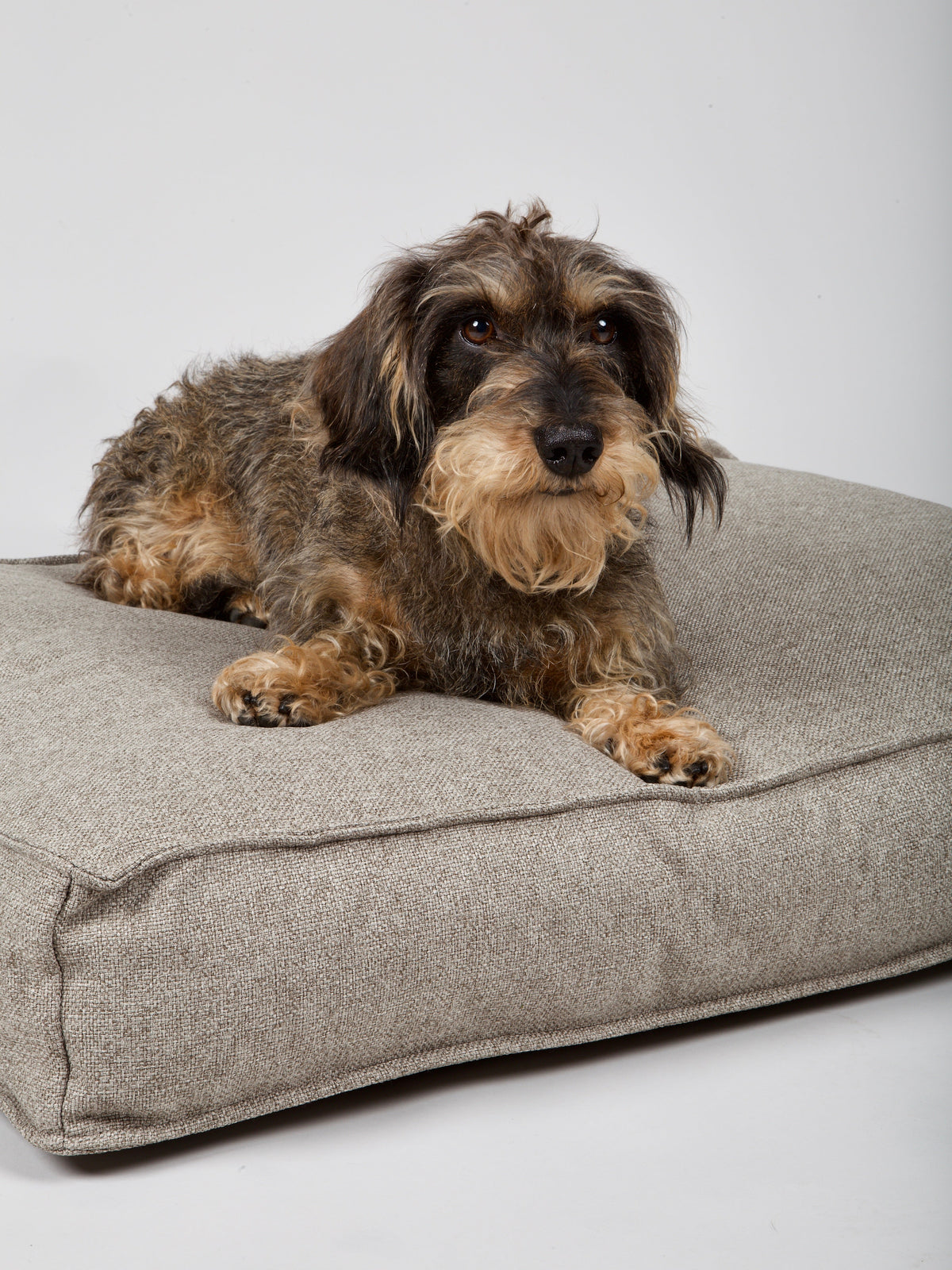 Nordog Hygge hundepude – Cappuccino – billede 5
