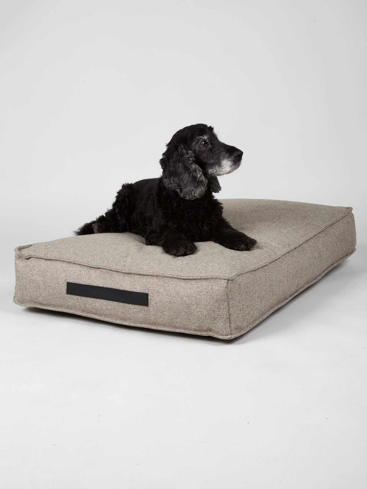 Nordog Hygge hundepude – Cappuccino – billede 2