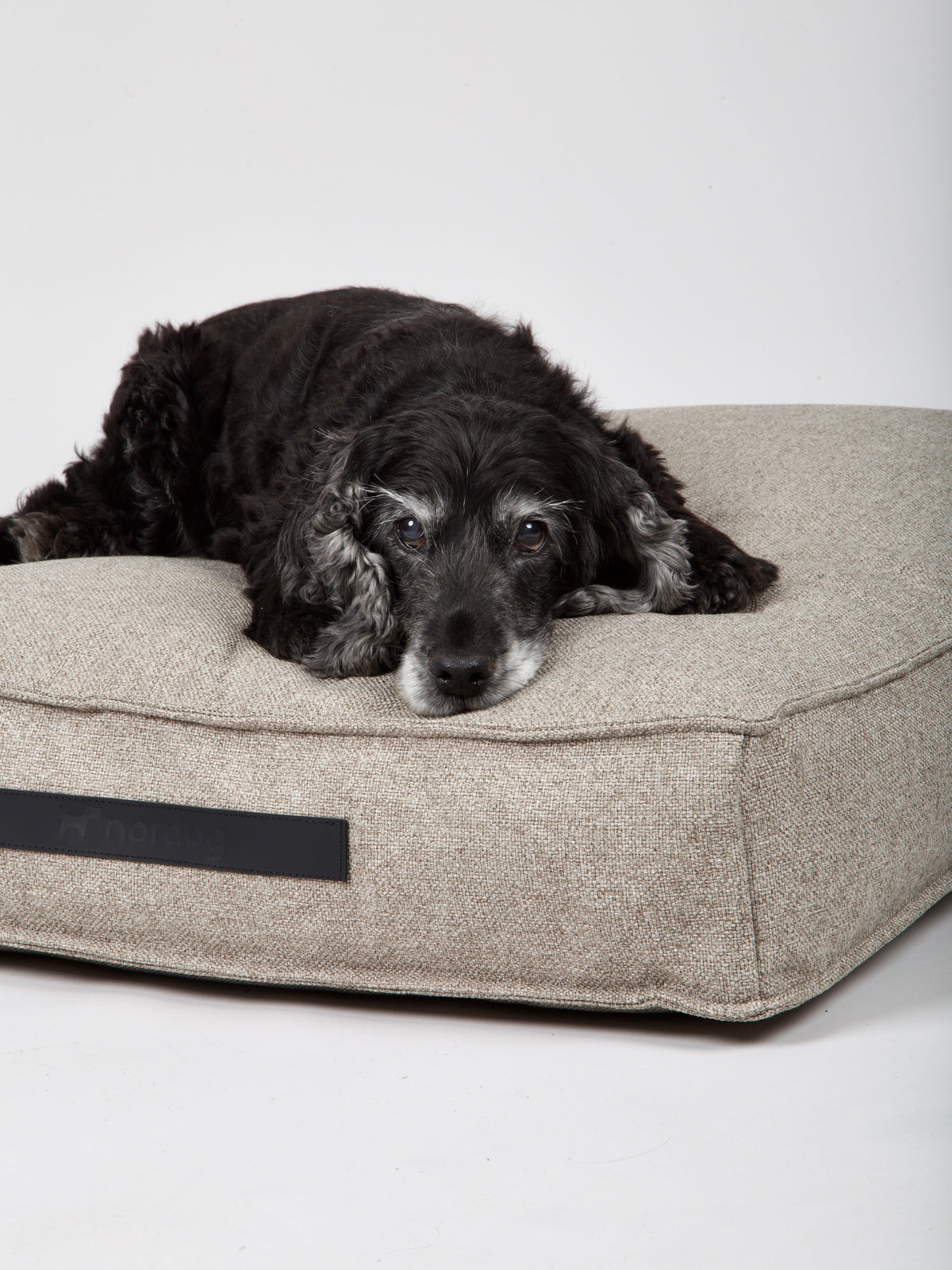 Nordog Hygge hundepude – Cappuccino – billede 6