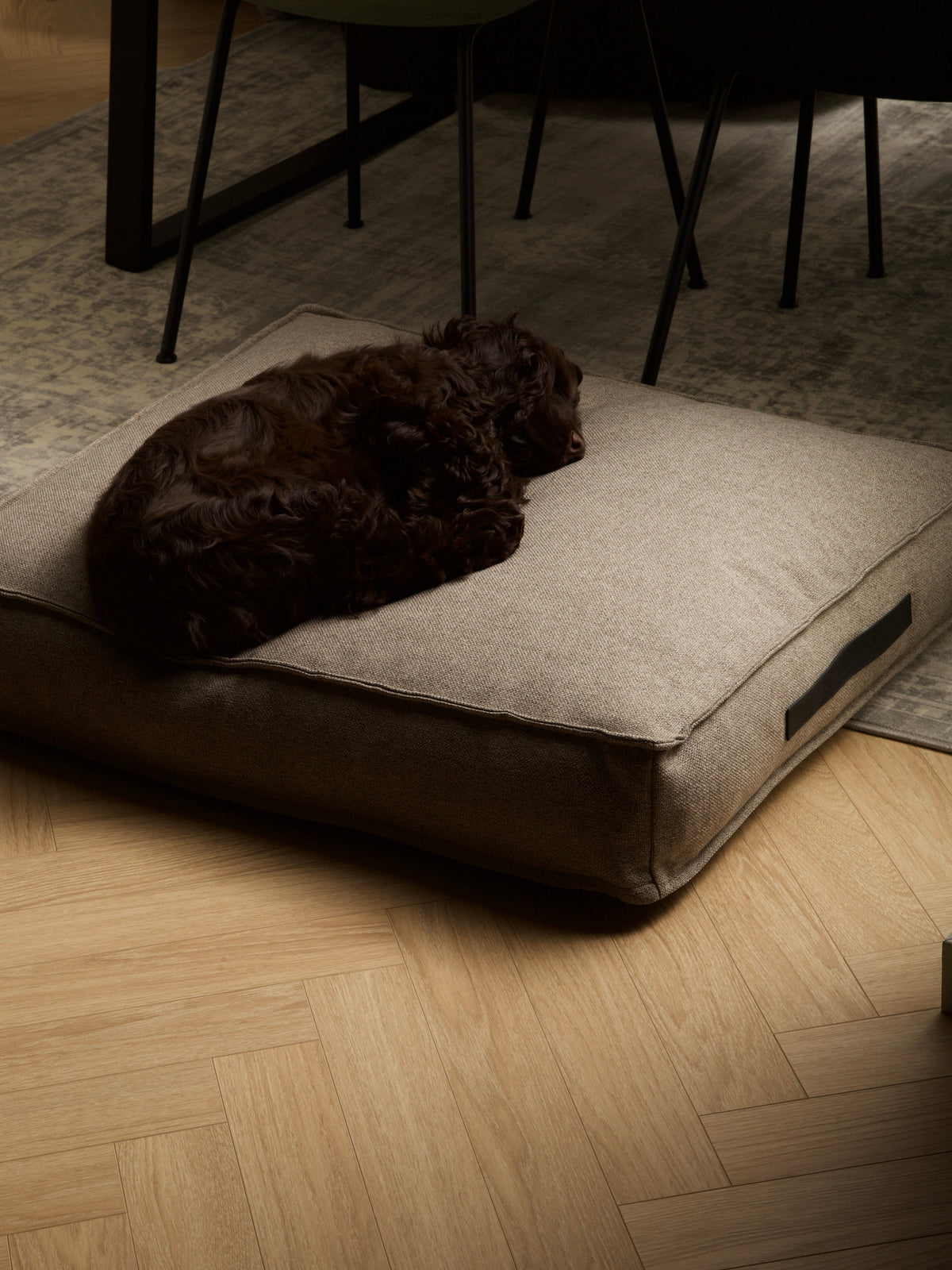 Nordog Hygge hundepude – Cappuccino – billede 8