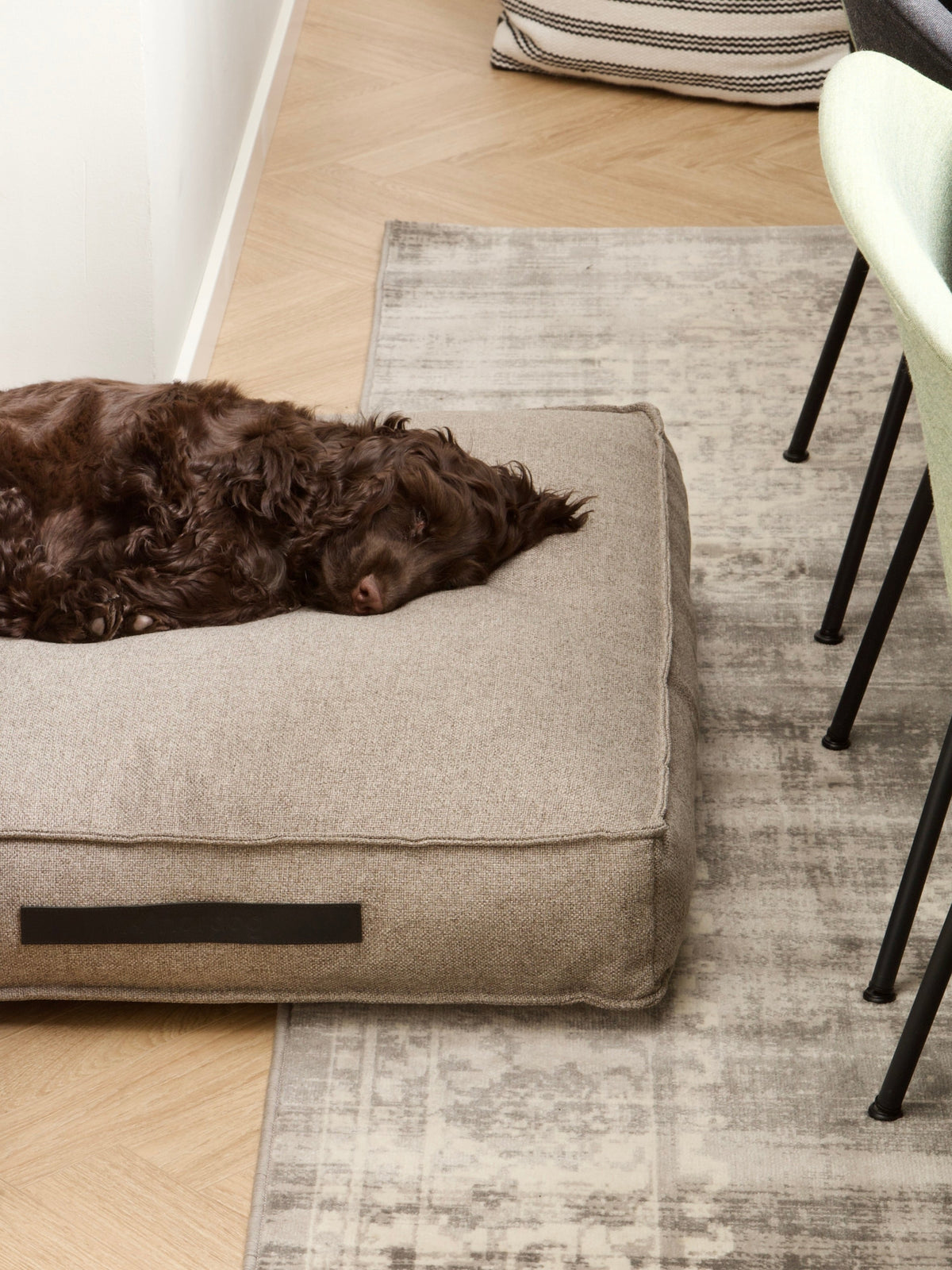 Nordog Hygge hundepude – Cappuccino – billede 7