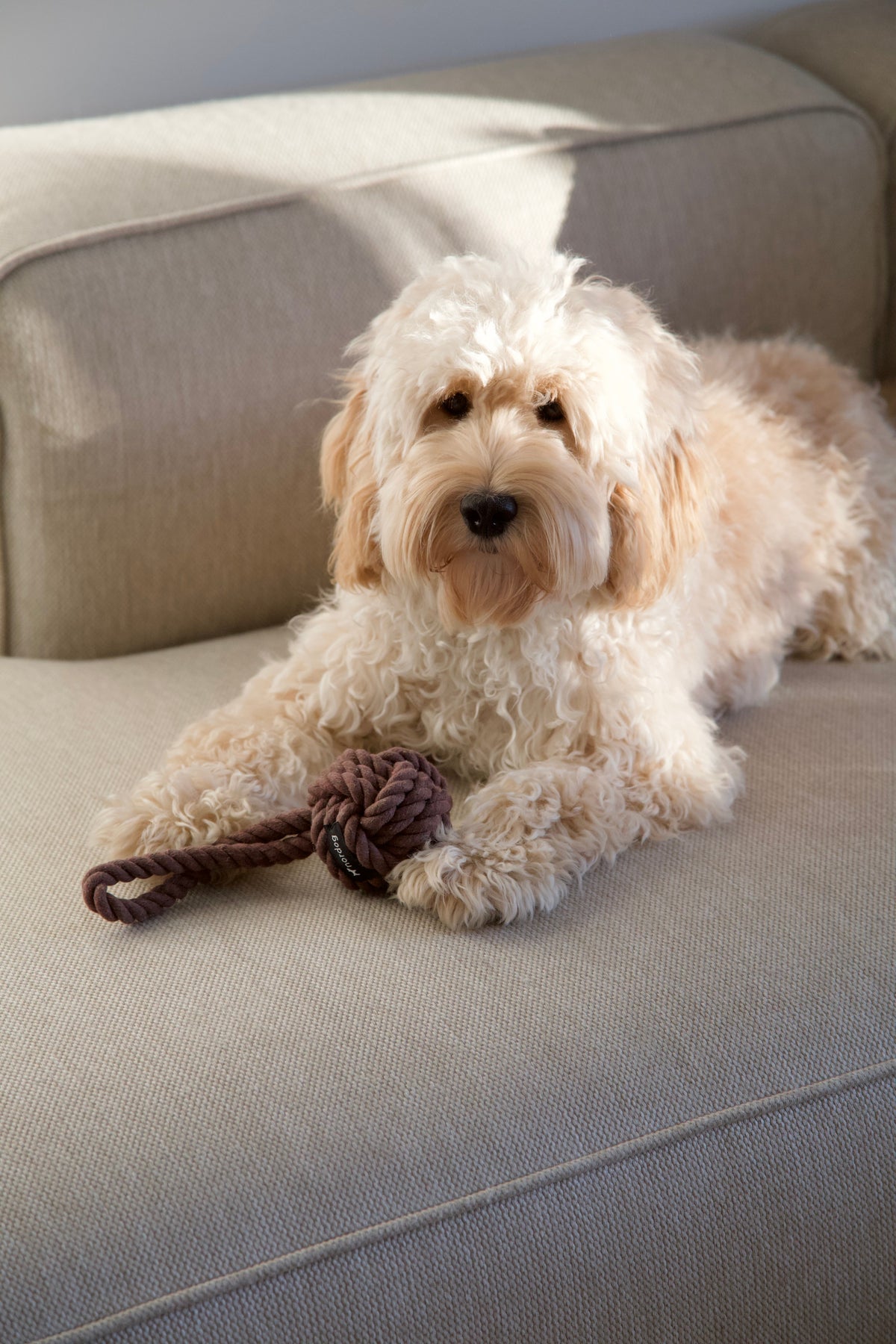 Nordog Original Rope Toy reblegetøj – Choco – billede 4