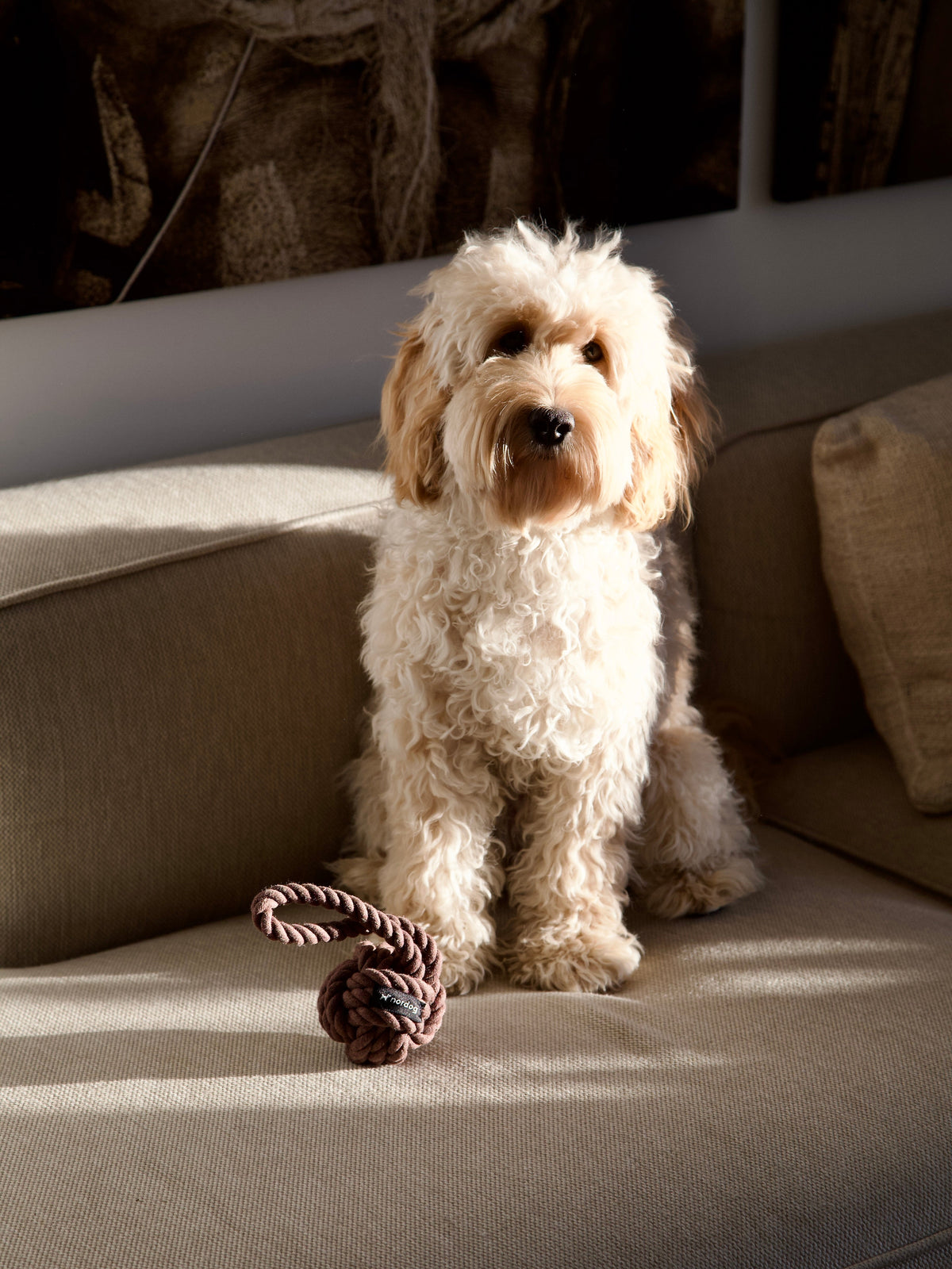 Nordog Original Rope Toy reblegetøj – Choco – billede 6