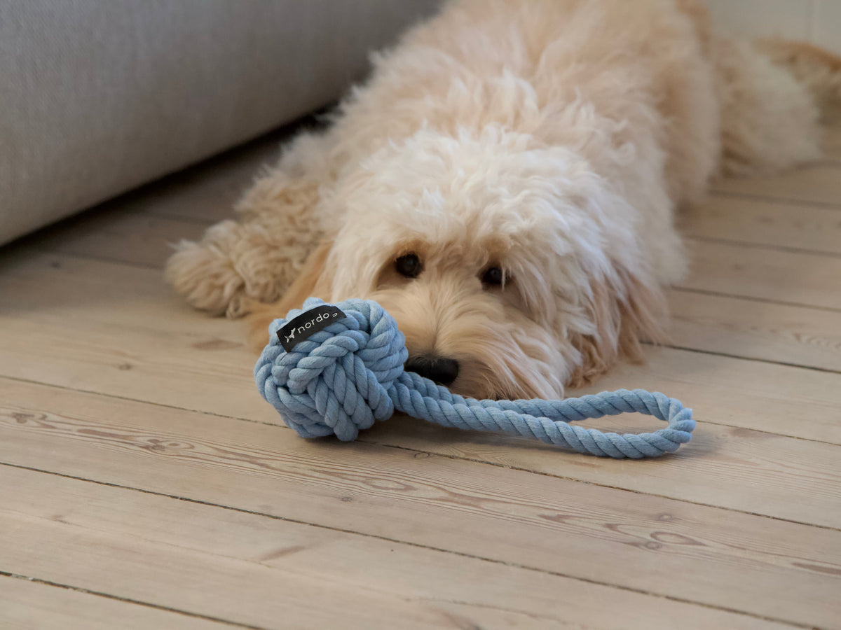 Nordog Original Rope Toy reblegetøj – Blå – billede 4