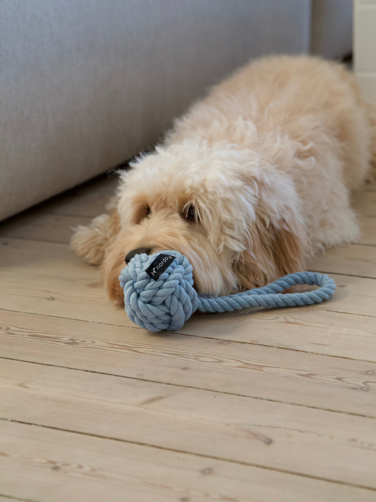 Nordog Original Rope Toy reblegetøj – Blå – billede 5
