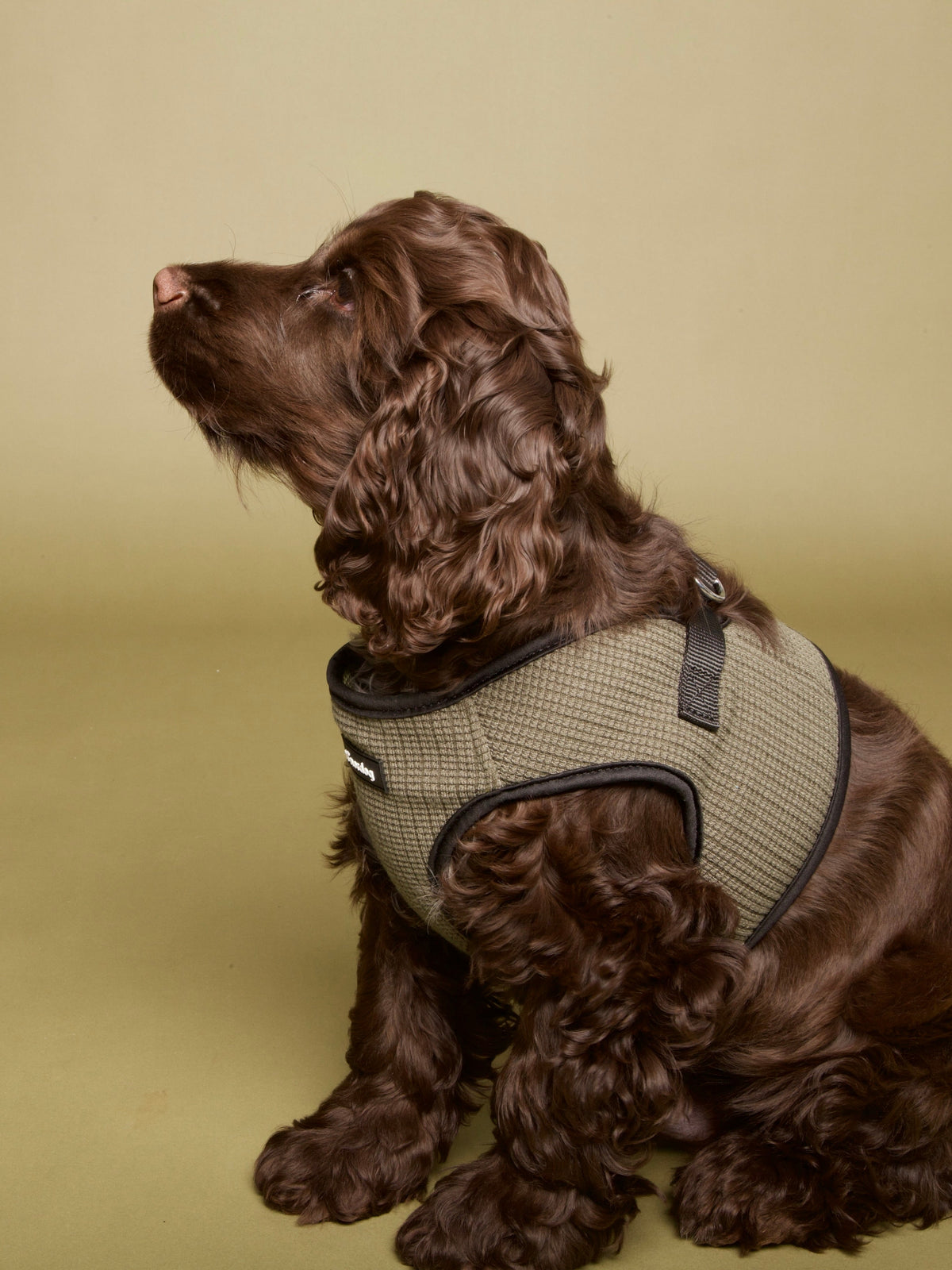 Nordog Park hundesele – Oliven – billede 6