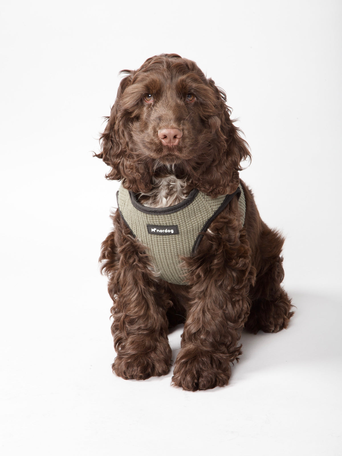 Nordog Park hundesele – Oliven – billede 1