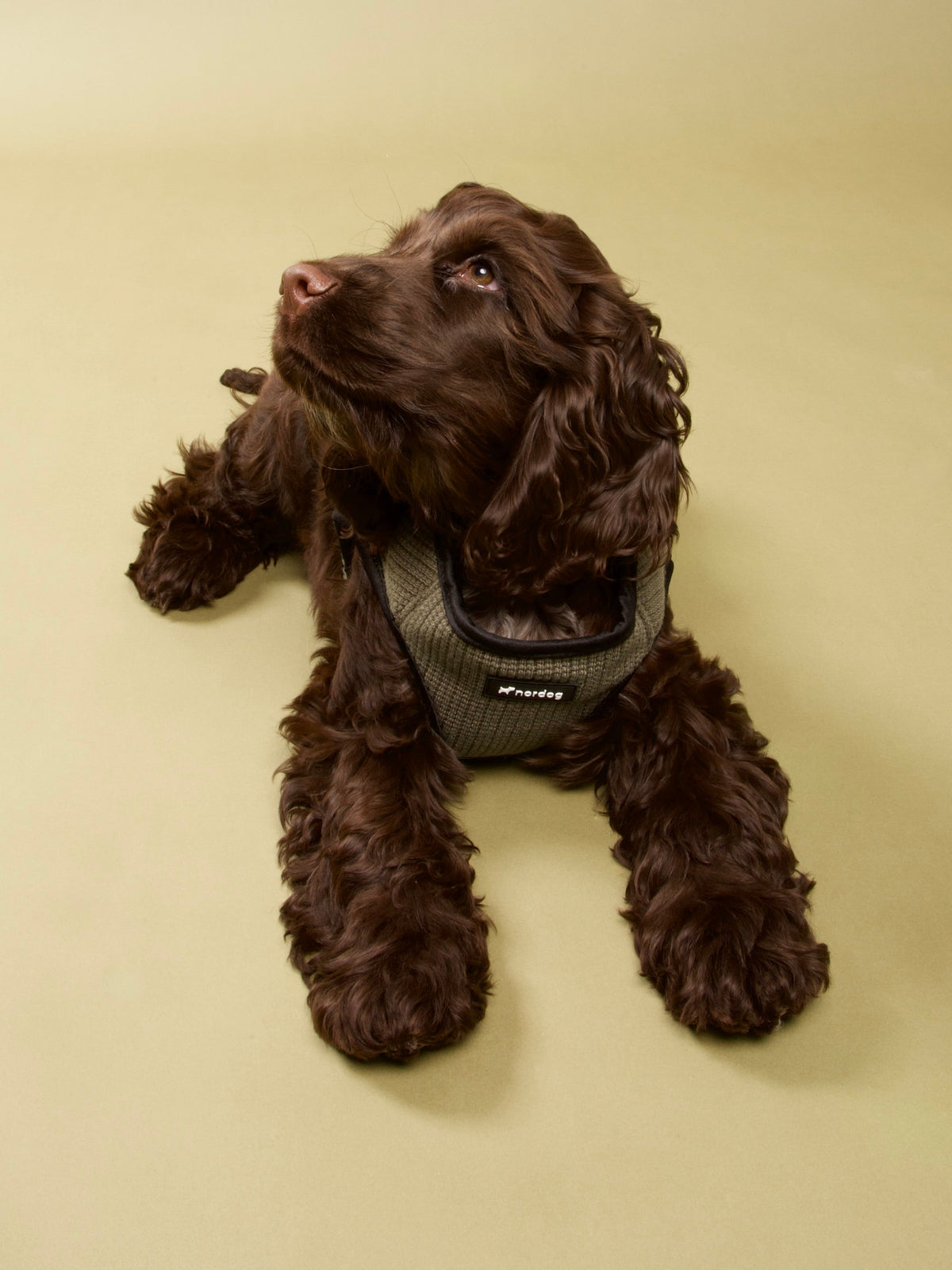 Nordog Park hundesele – Oliven – billede 8