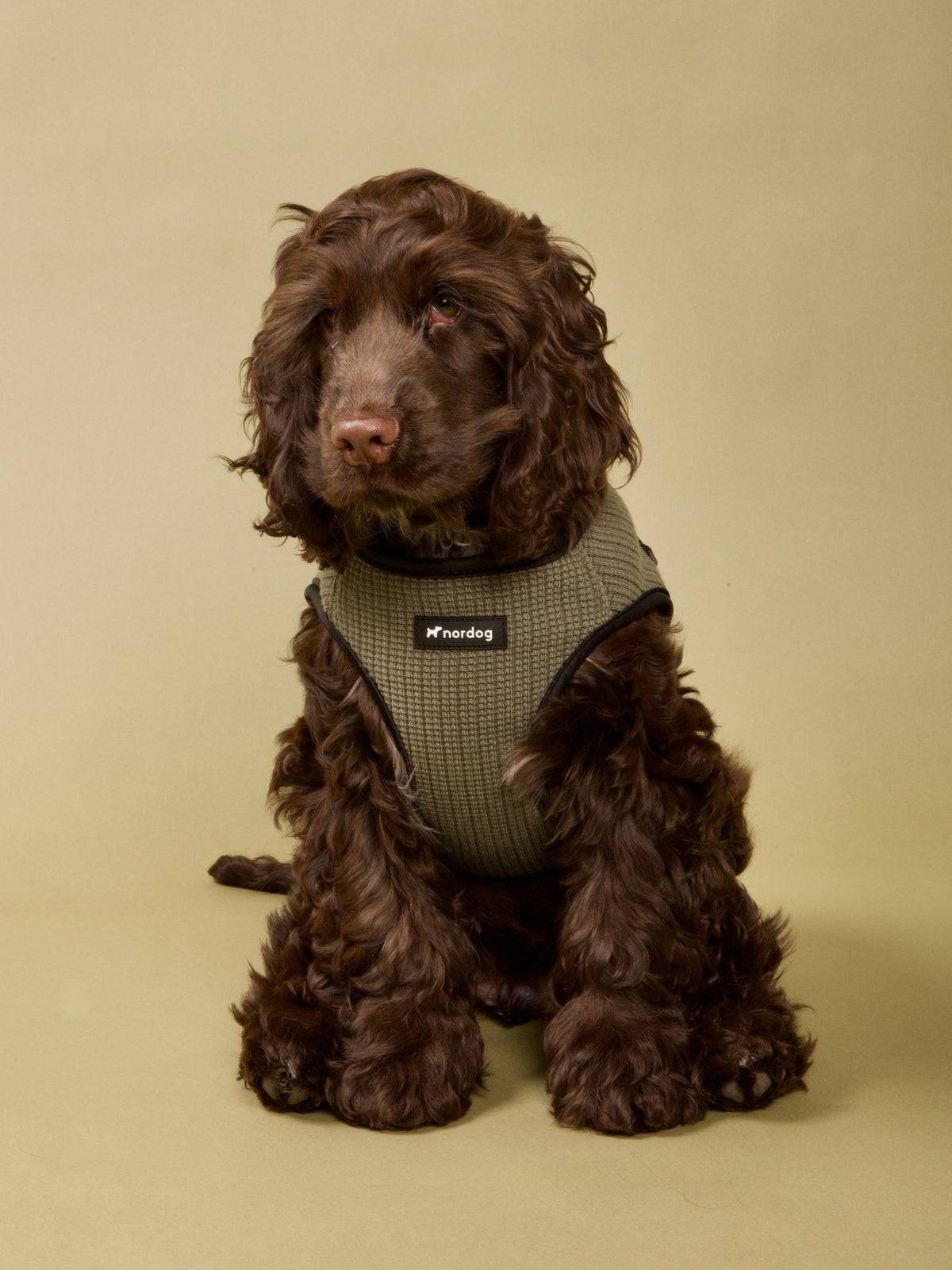 Nordog Park hundesele – Oliven – billede 4