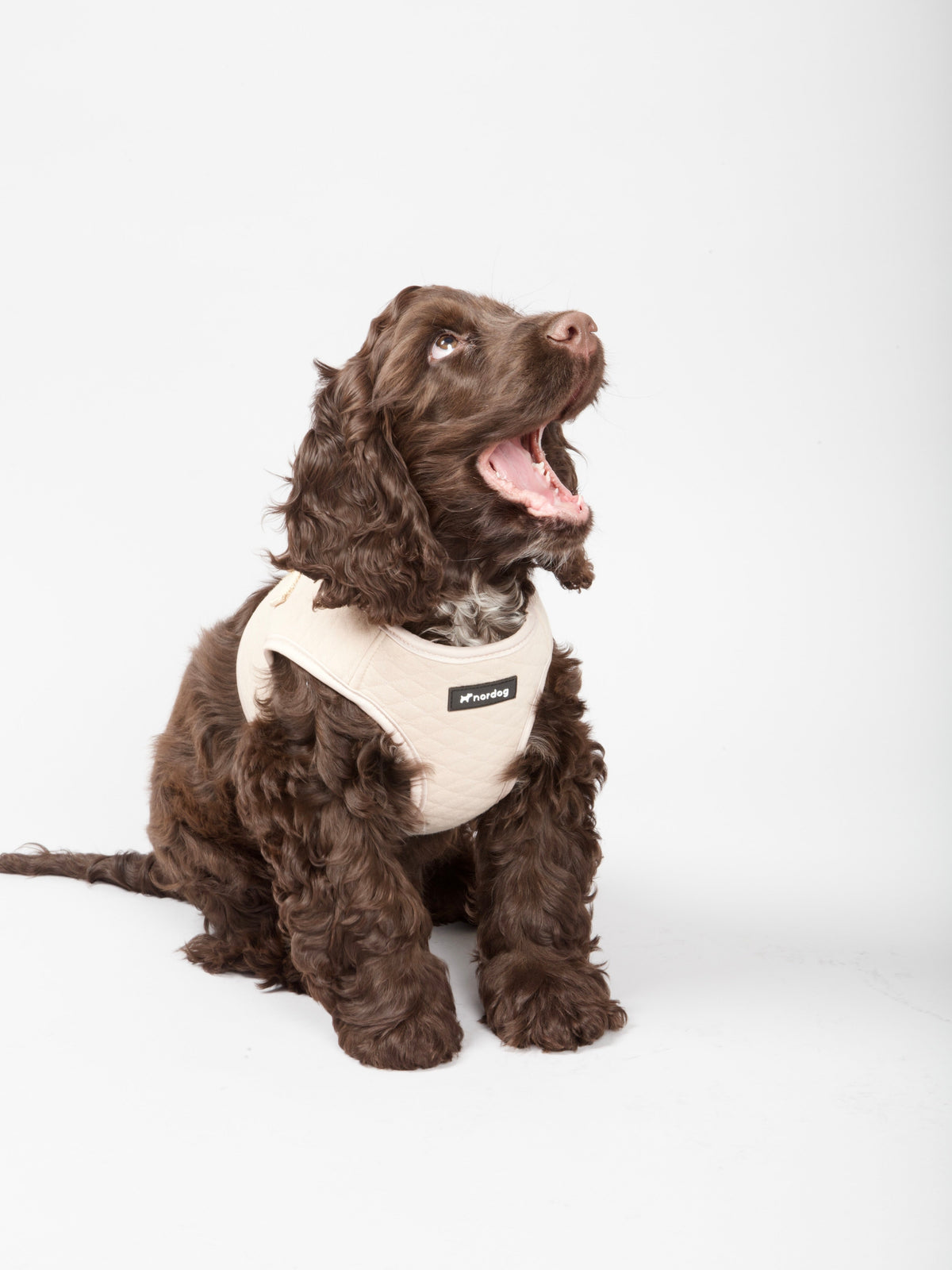 Nordog Park hundesele – Beige – billede 5