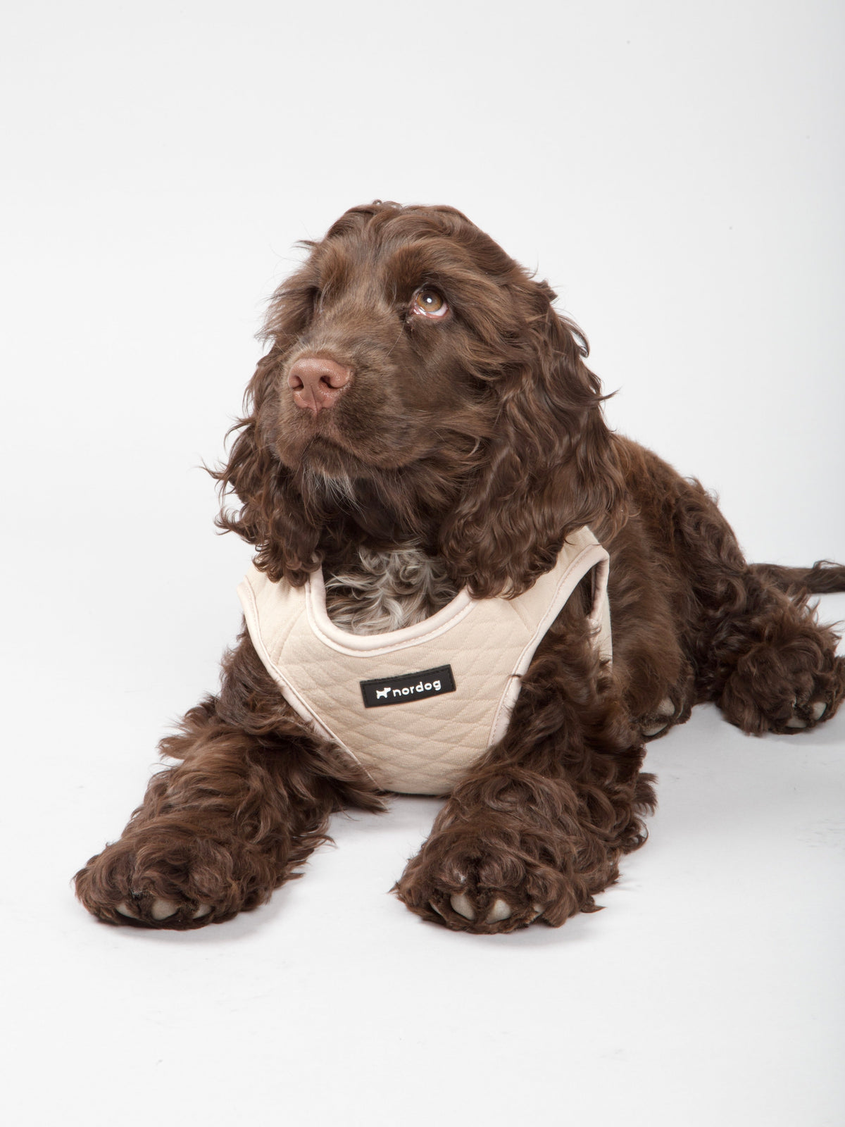 Nordog Park hundesele – Beige – billede 6