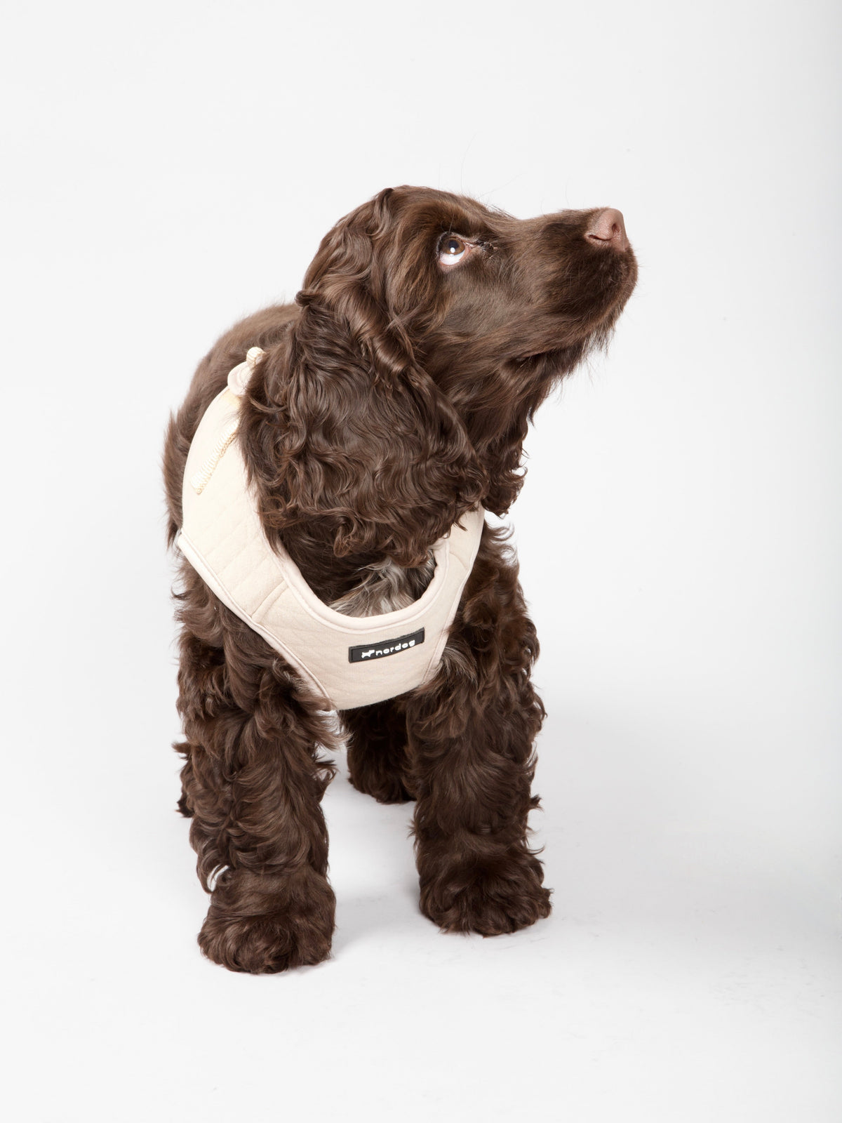 Nordog Park hundesele – Beige – billede 7