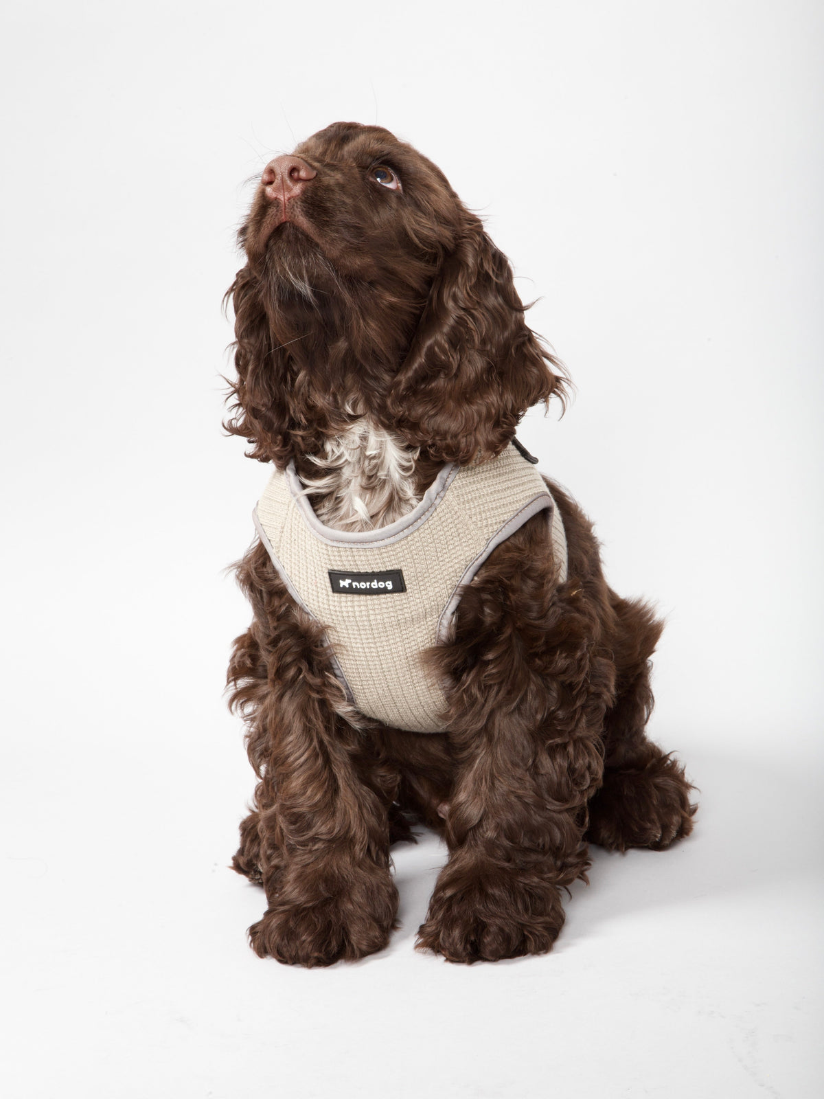 Nordog Park hundesele – Taupe – billede 1