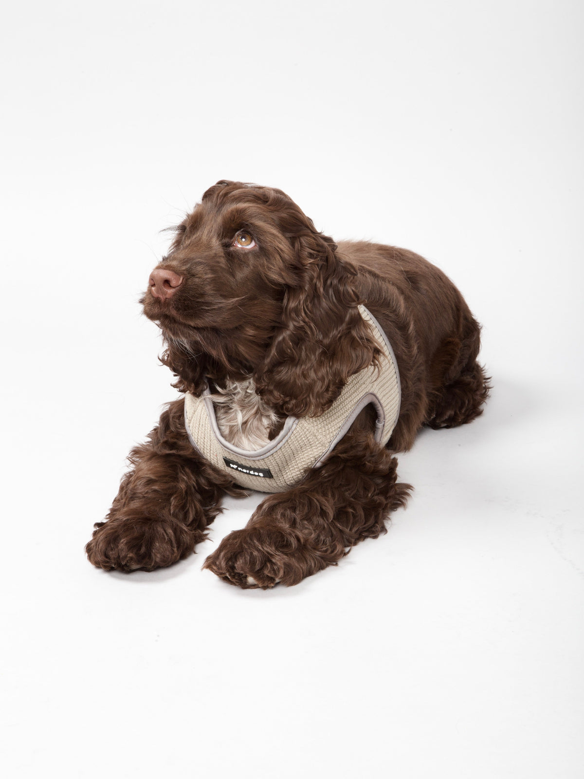 Nordog Park hundesele – Taupe – billede 7