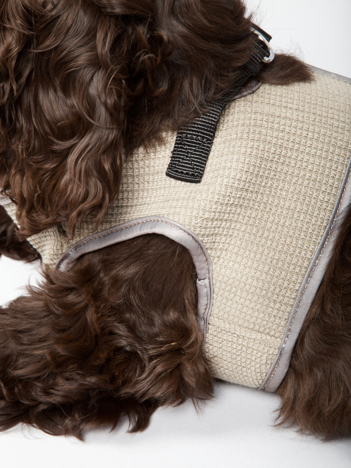 Nordog Park hundesele – Taupe – billede 5
