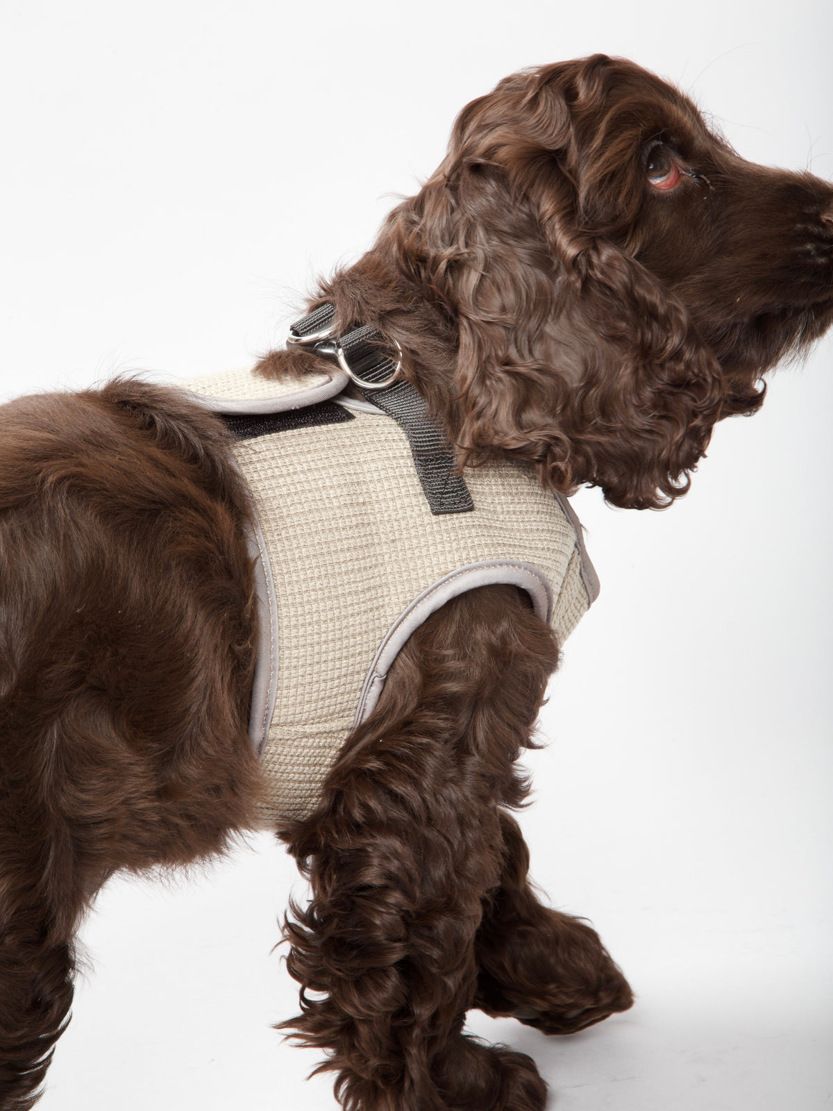Nordog Park hundesele – Taupe – billede 6