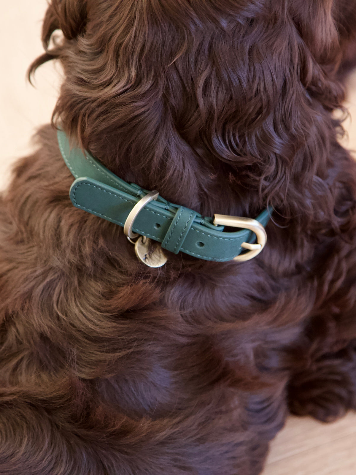 Nordog Thomas hundehalsbånd – Avocado – billede 10