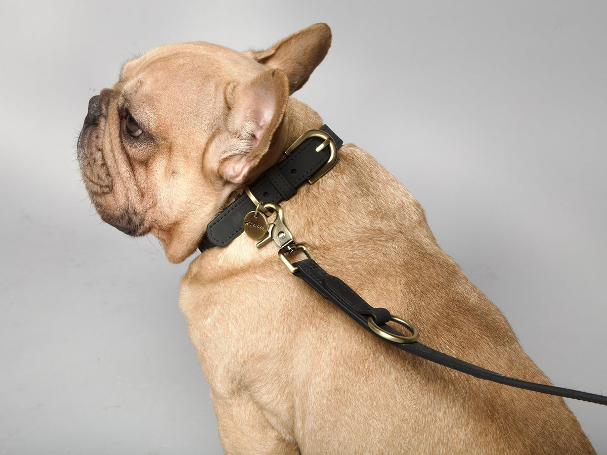 Nordog Thomas hundesnor – Coal – billede 6