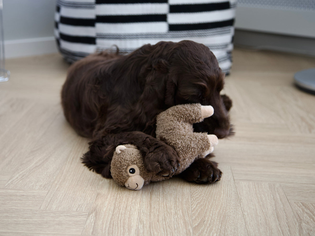 Nordog Benji Mini alpaka – hundeplysdyr – billede 6