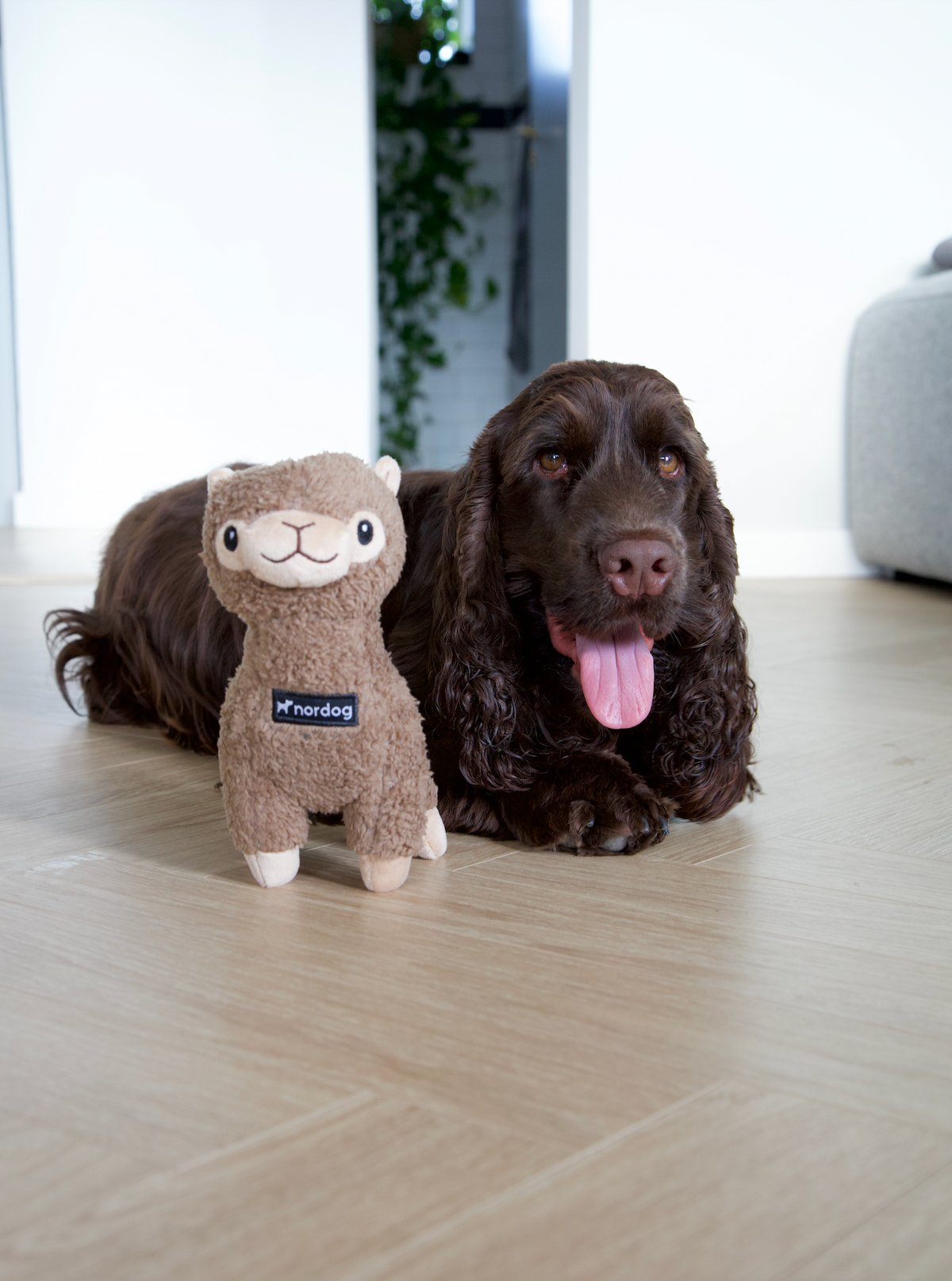 Nordog Benji Mini alpaka – hundeplysdyr – billede 5